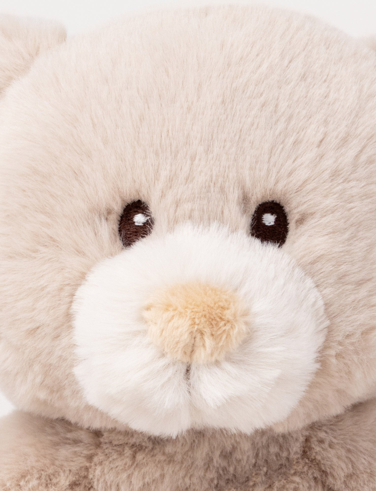  Image of Teddy Mocca, Teddy Bear, Small
