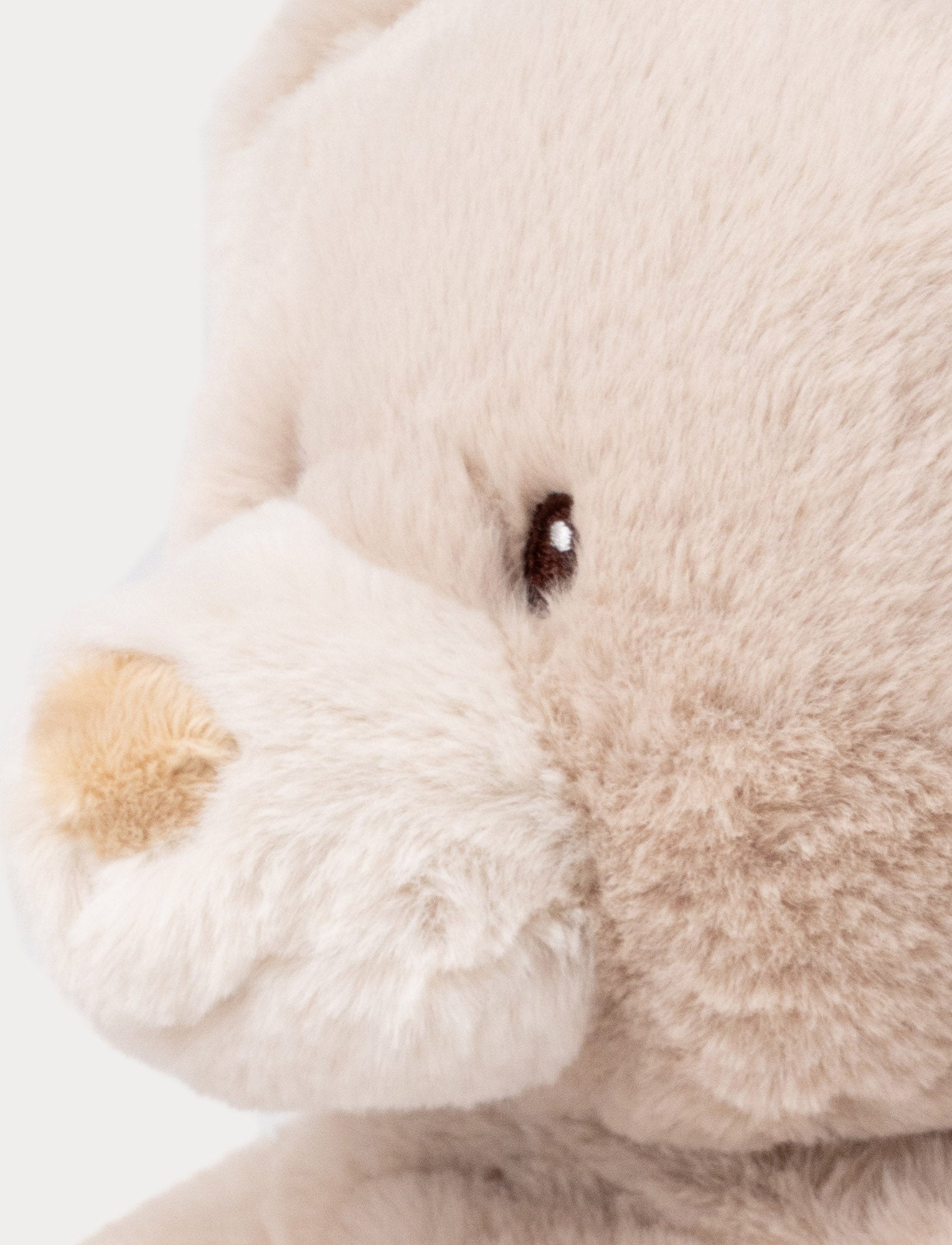  Image of Teddy Mocca, Nalle, Stor