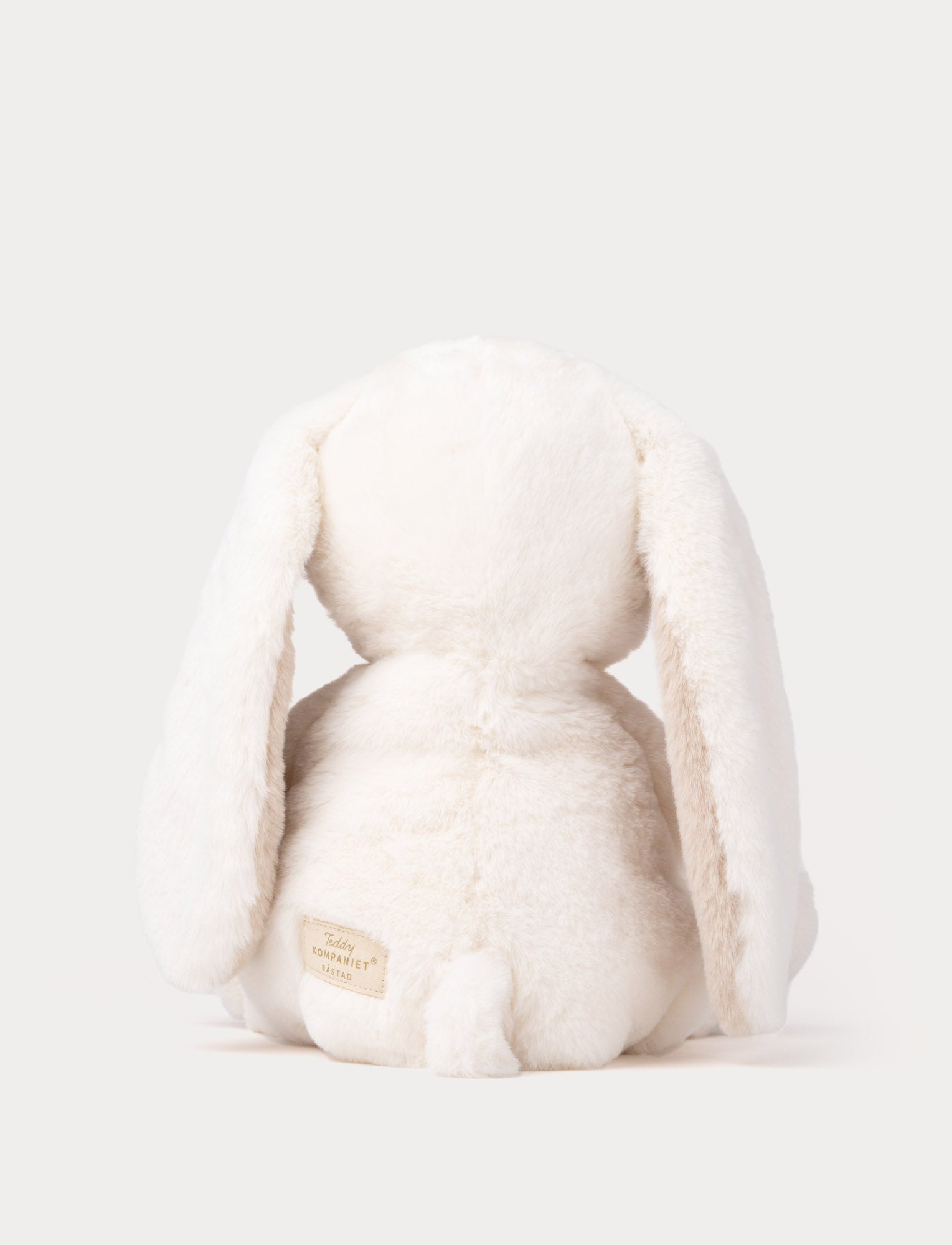  Image of Teddy Mocca, Kanin, Stor