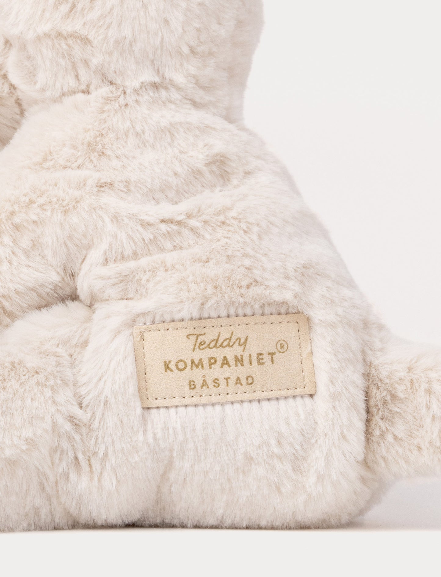 Teddy Mocca, Dog, Small