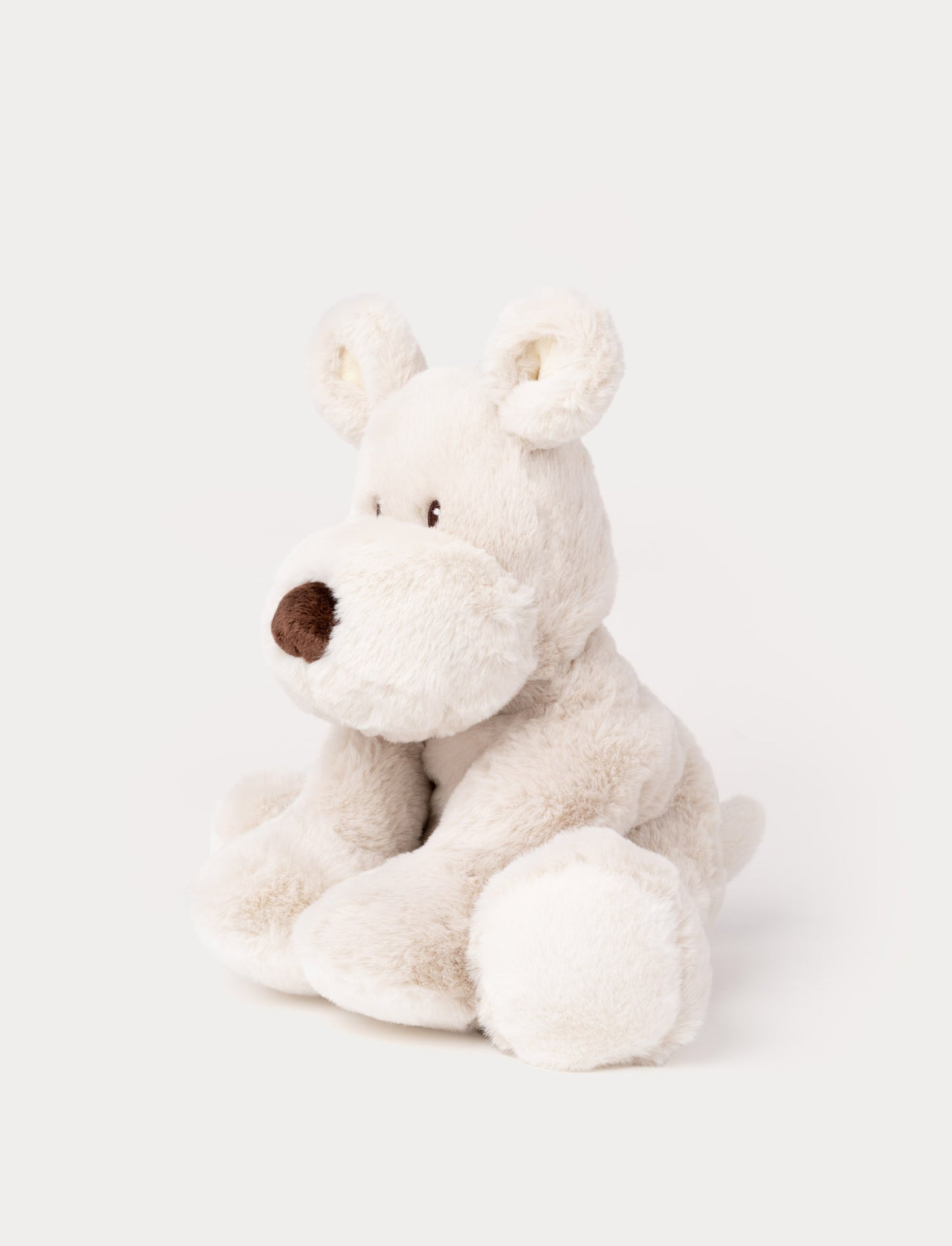 Teddy Mocca, Hund, Stor