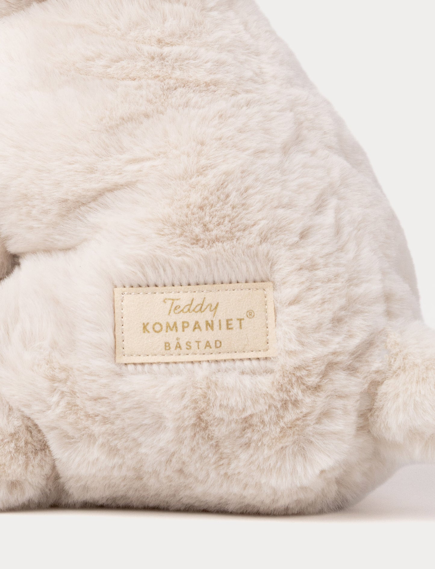 Teddy Mocca, Hund, Stor