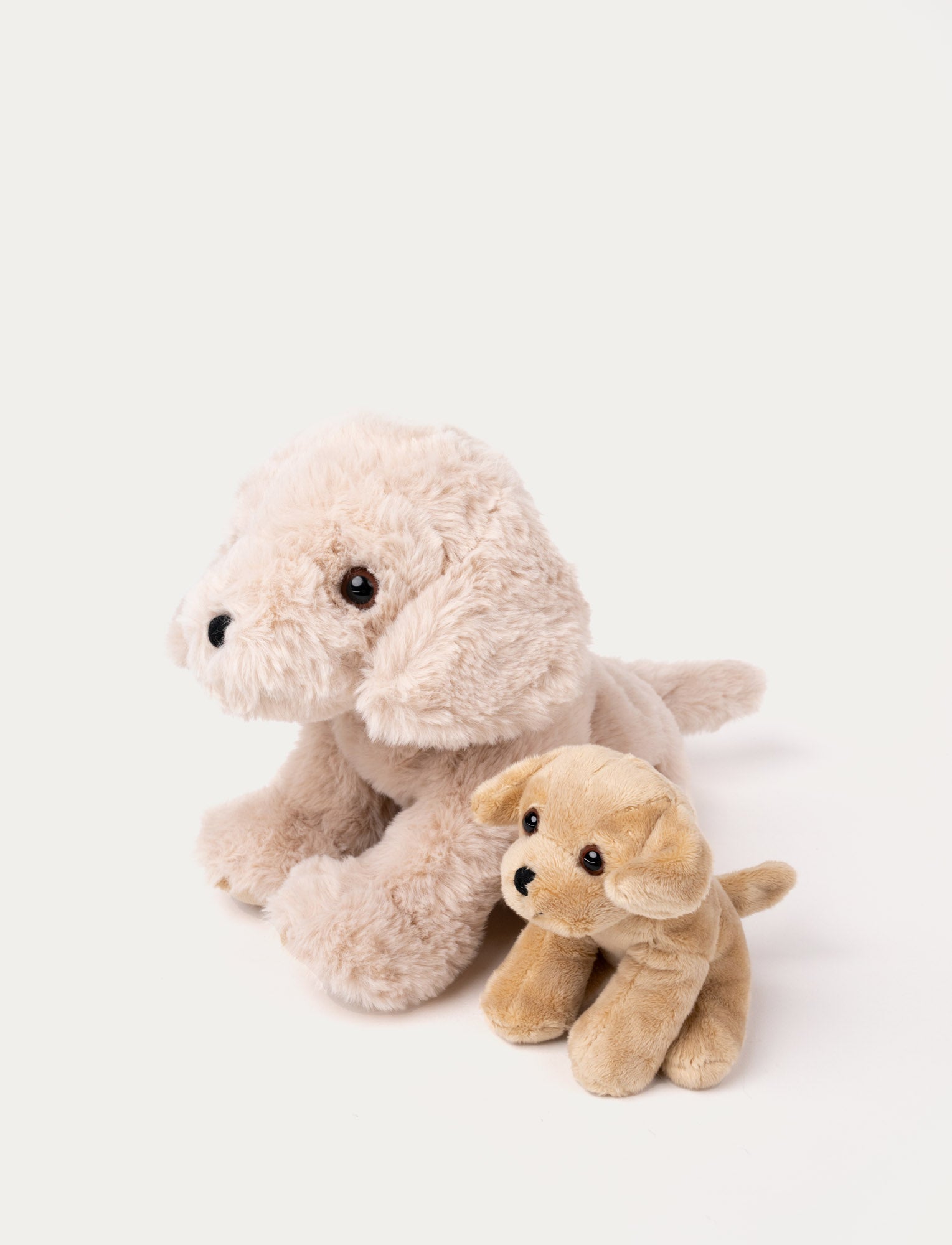  Image of Dog Tess with Puppy