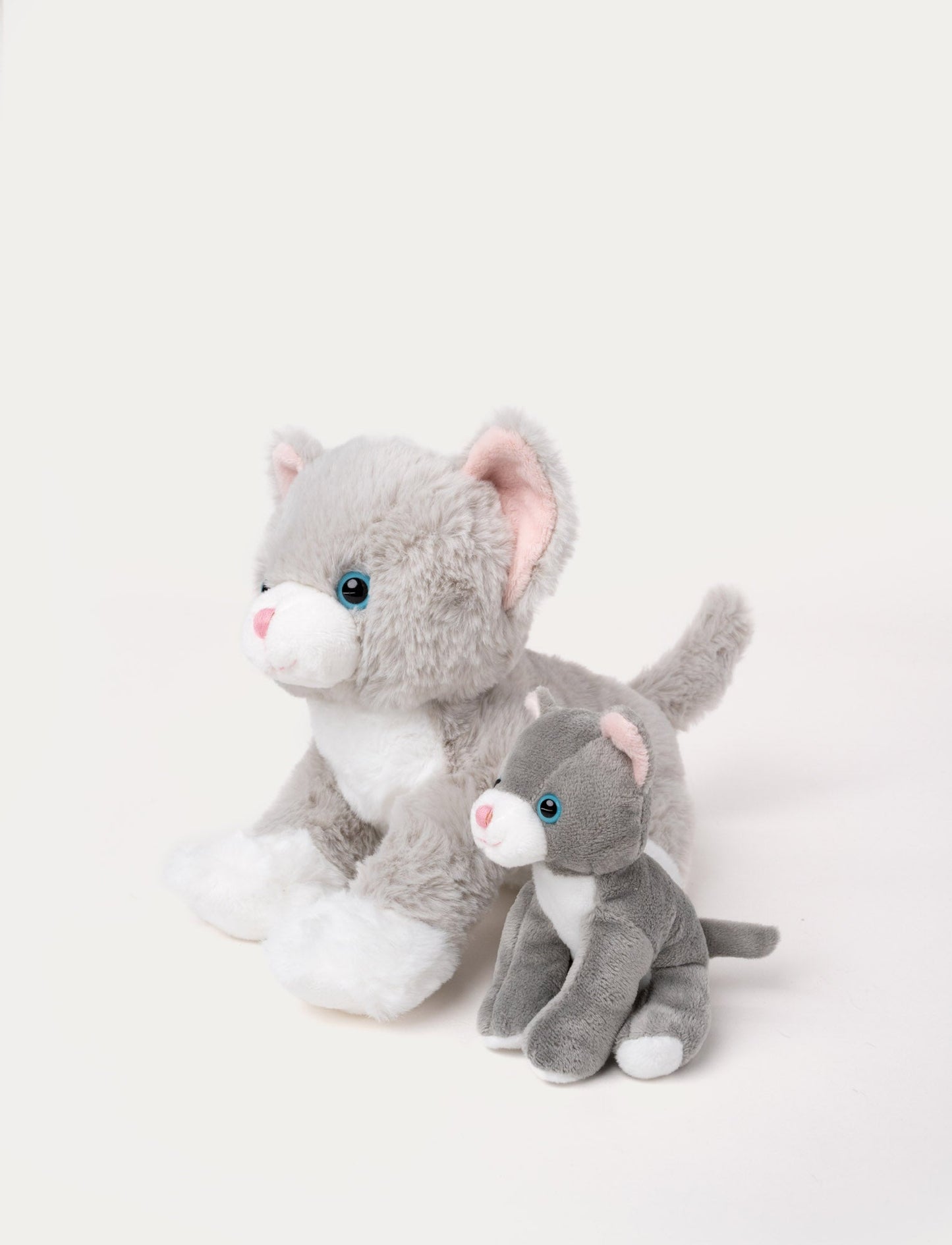 Cat Tuva with Kitten