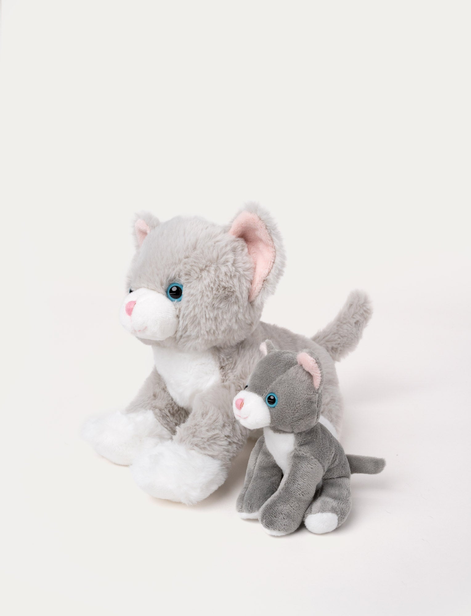  Image of Cat Tuva with Kitten