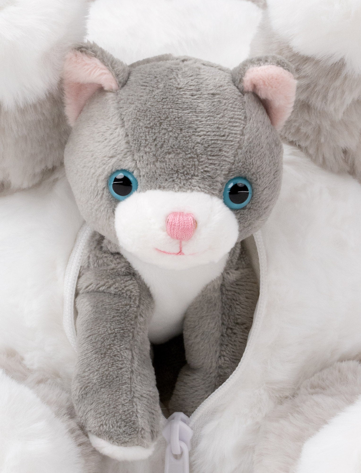  Image of Cat Tuva with Kitten