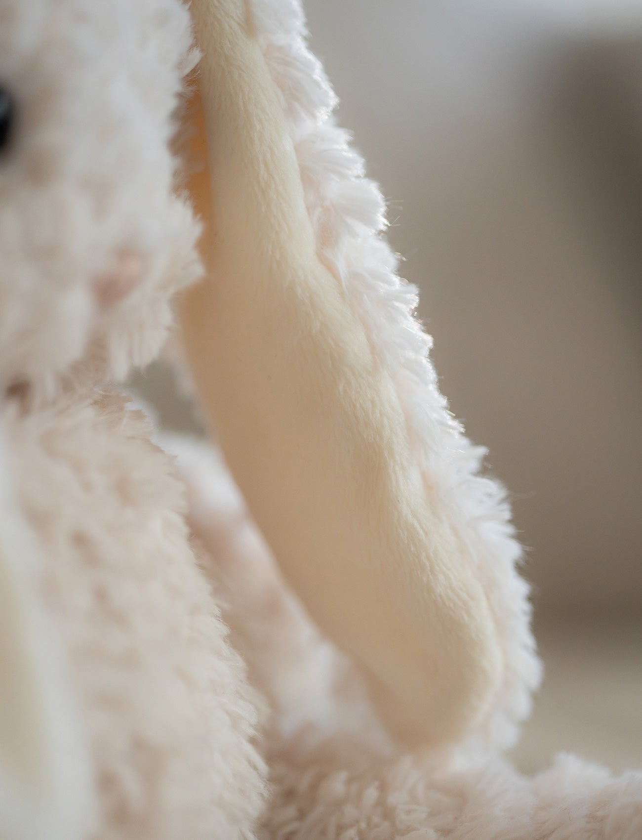  Image of Retro Pals, Kanin