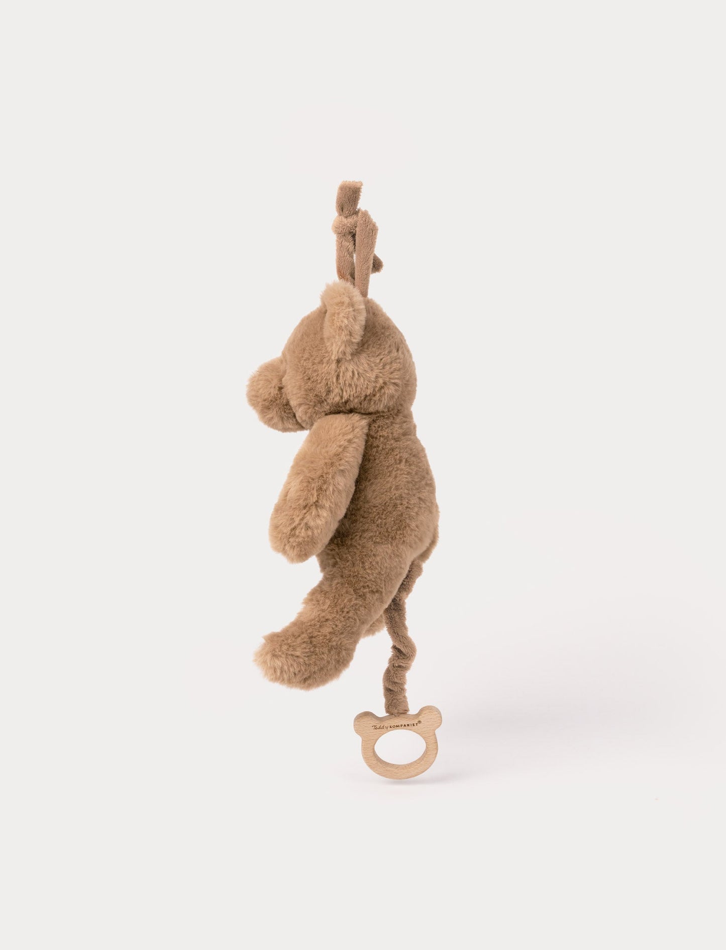 Teddy, Music Box, Teddy Bear, Brown