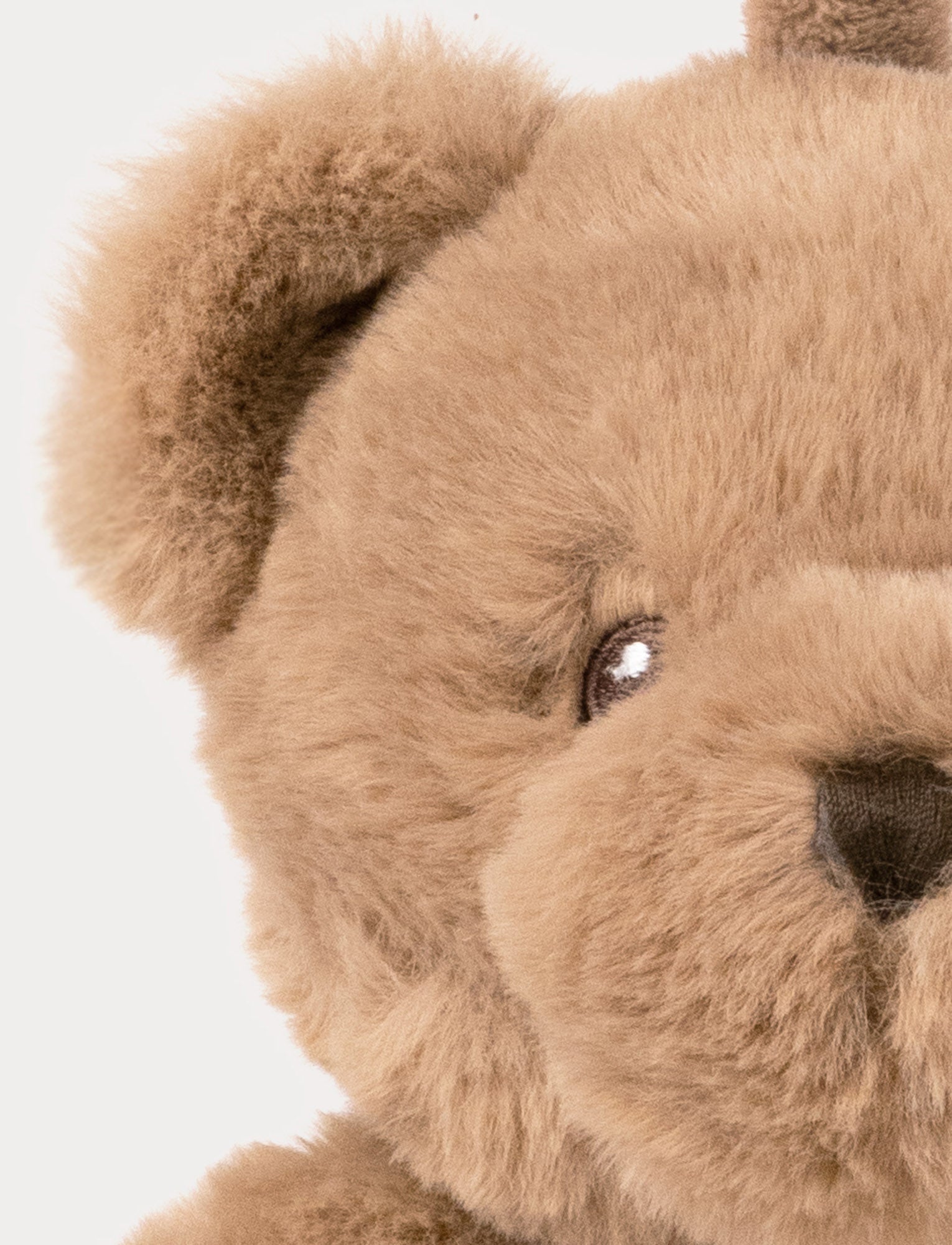  Image of Teddy, Music Box, Teddy Bear, Brown