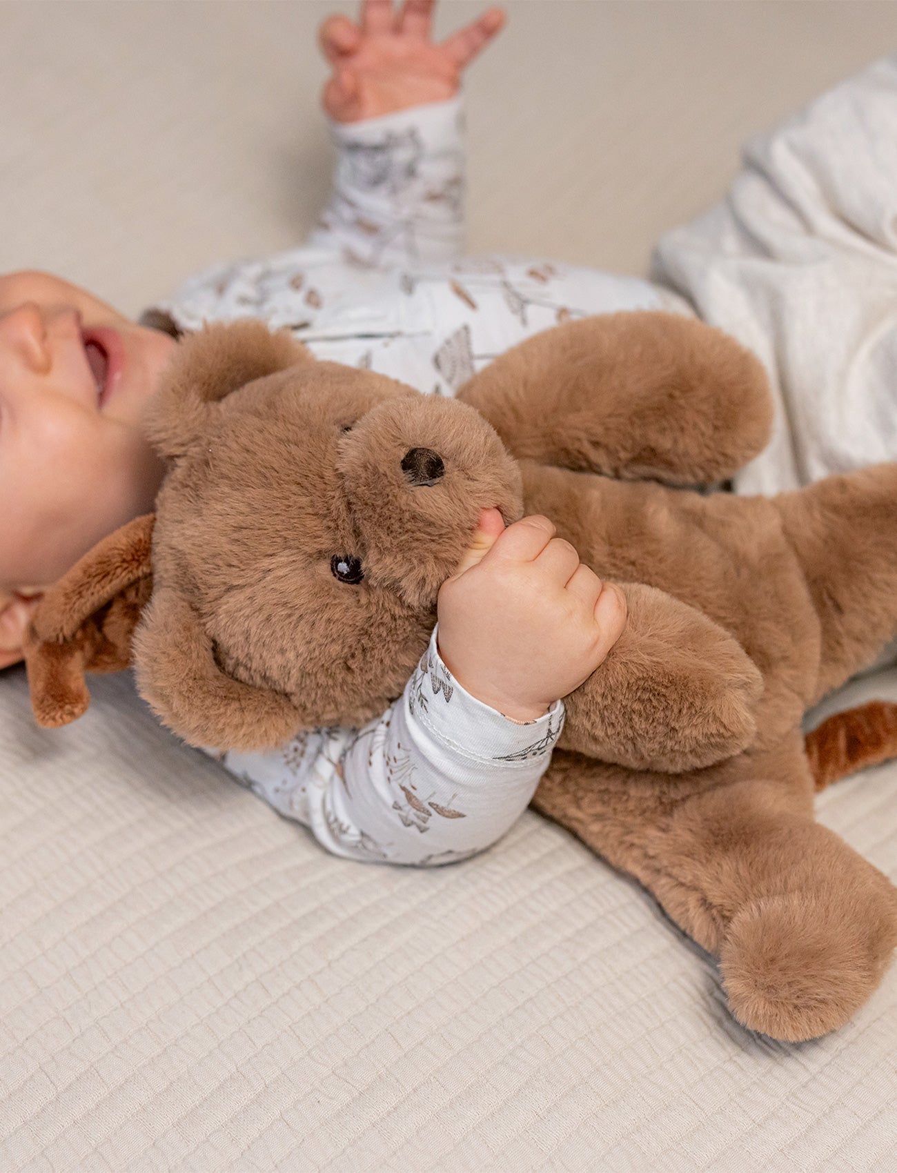  Image of Teddy, Music Box, Teddy Bear, Brown