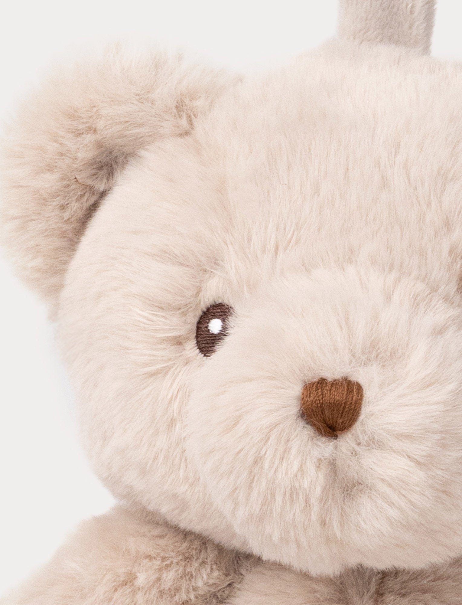 Image of Teddy, Music Box, Teddy Bear, Beige
