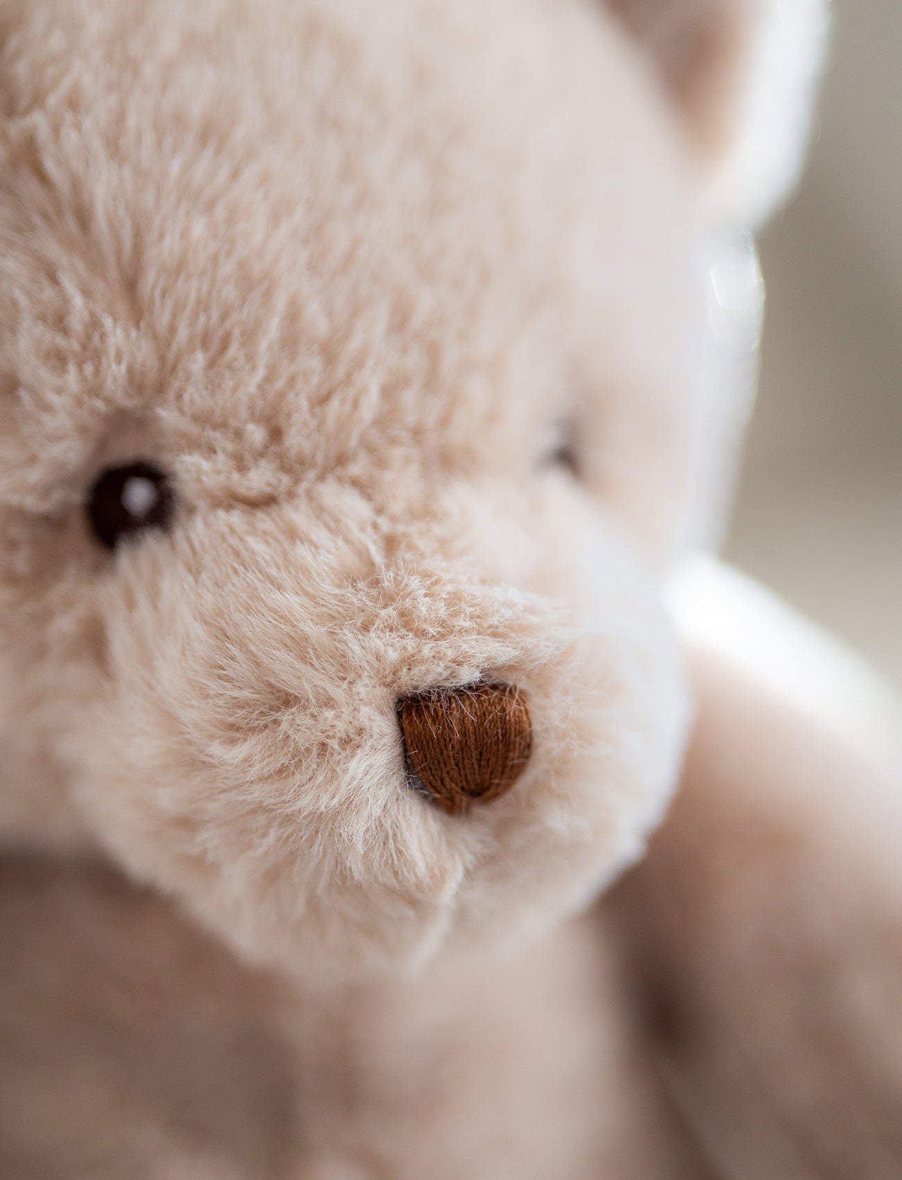  Image of Teddy, Music Box, Teddy Bear, Beige