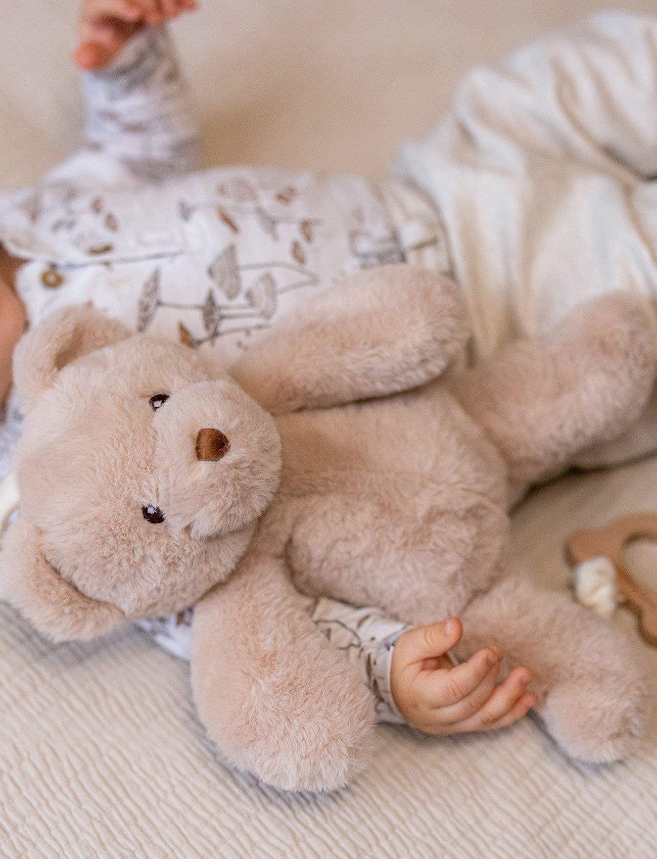  Image of Teddy, Music Box, Teddy Bear, Beige
