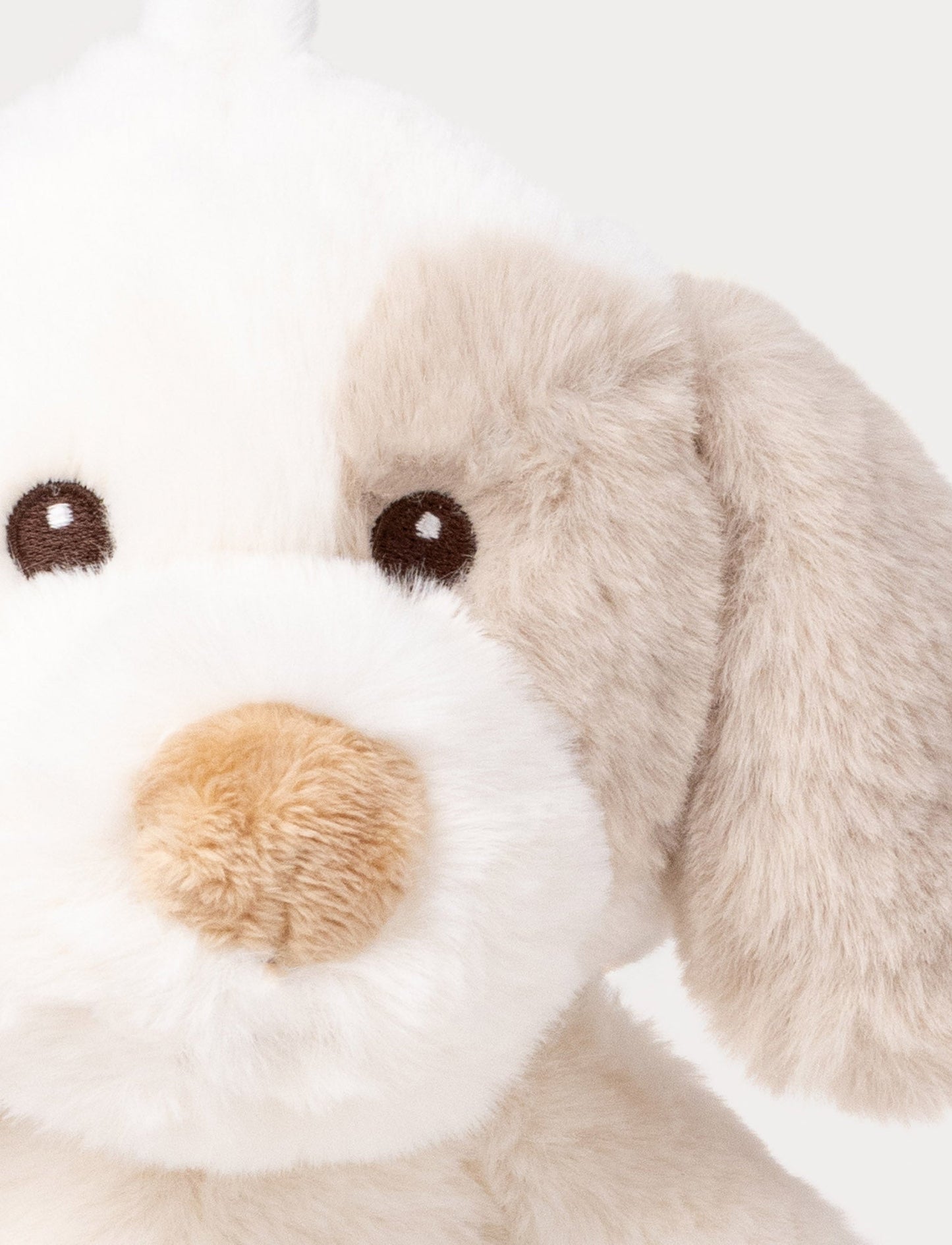 Karo, Music Box, Dog