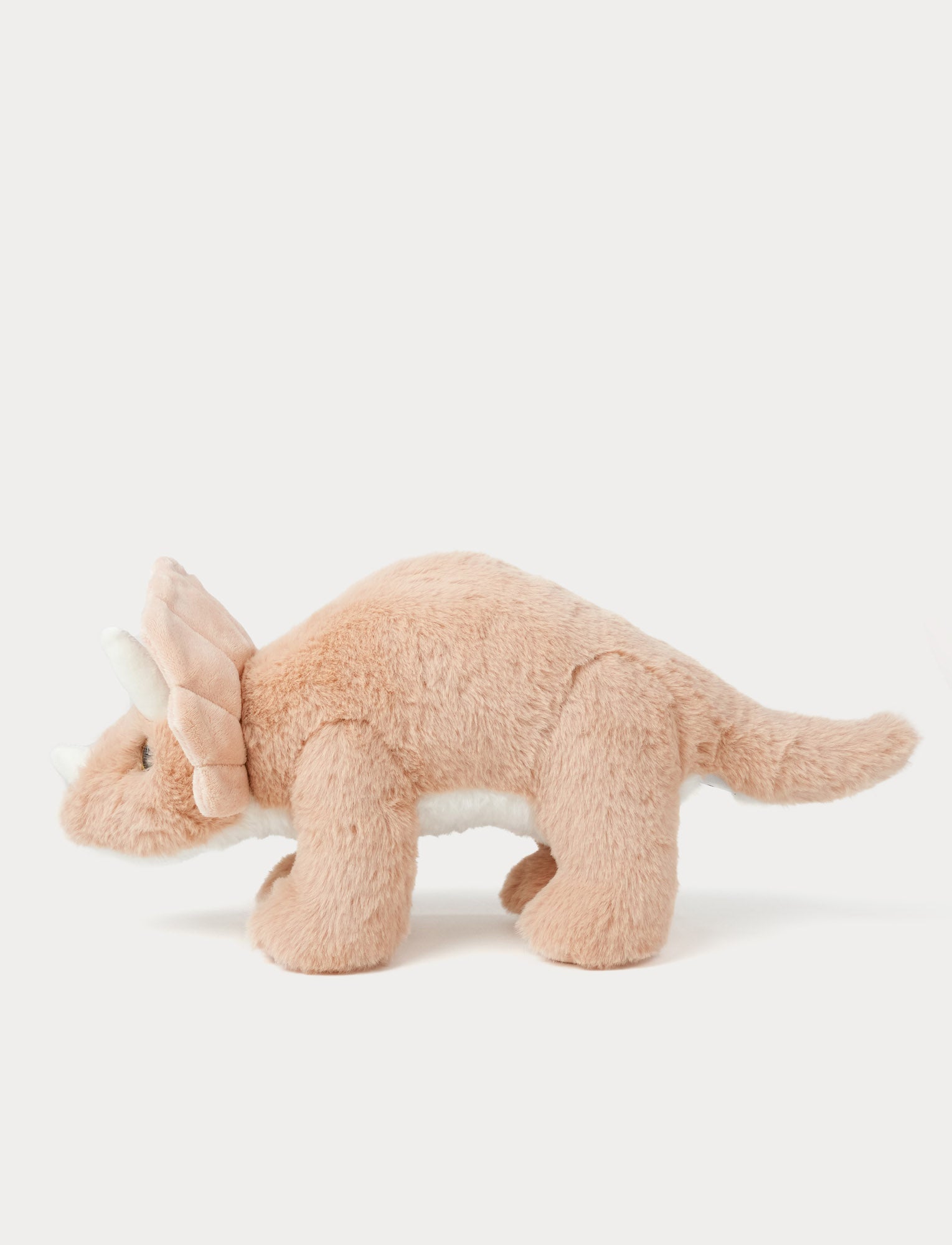  Image of Dino, Triceratops, Big