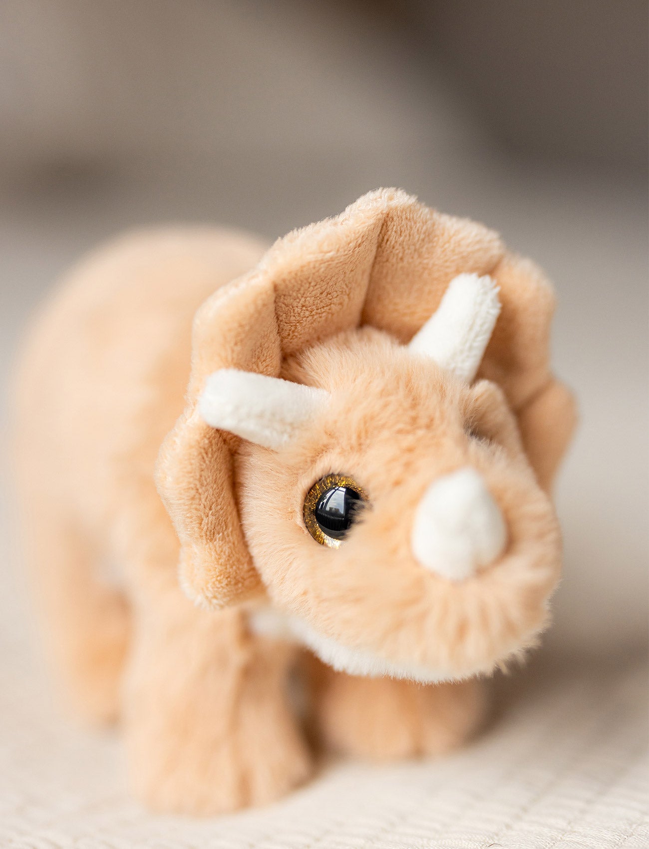  Image of Dino, Triceratops, Small