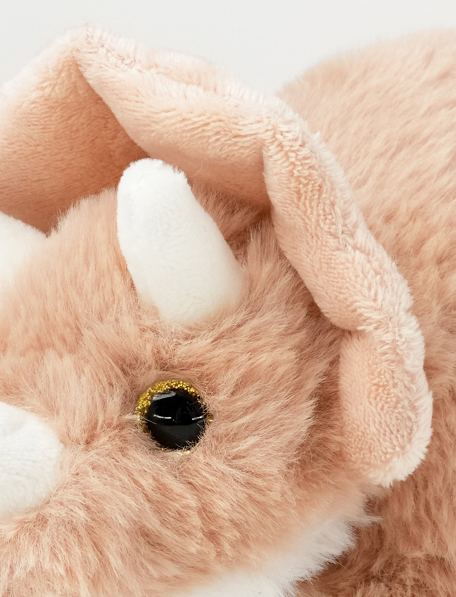  Image of Dino, Triceratops, Small