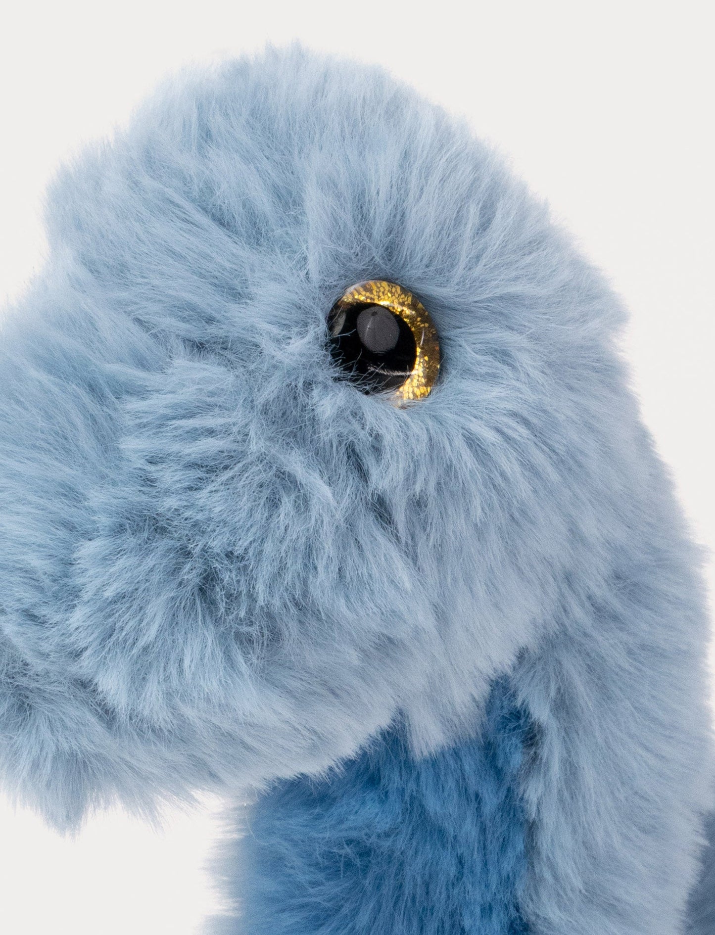 Dino, Brachiosaurus, Small