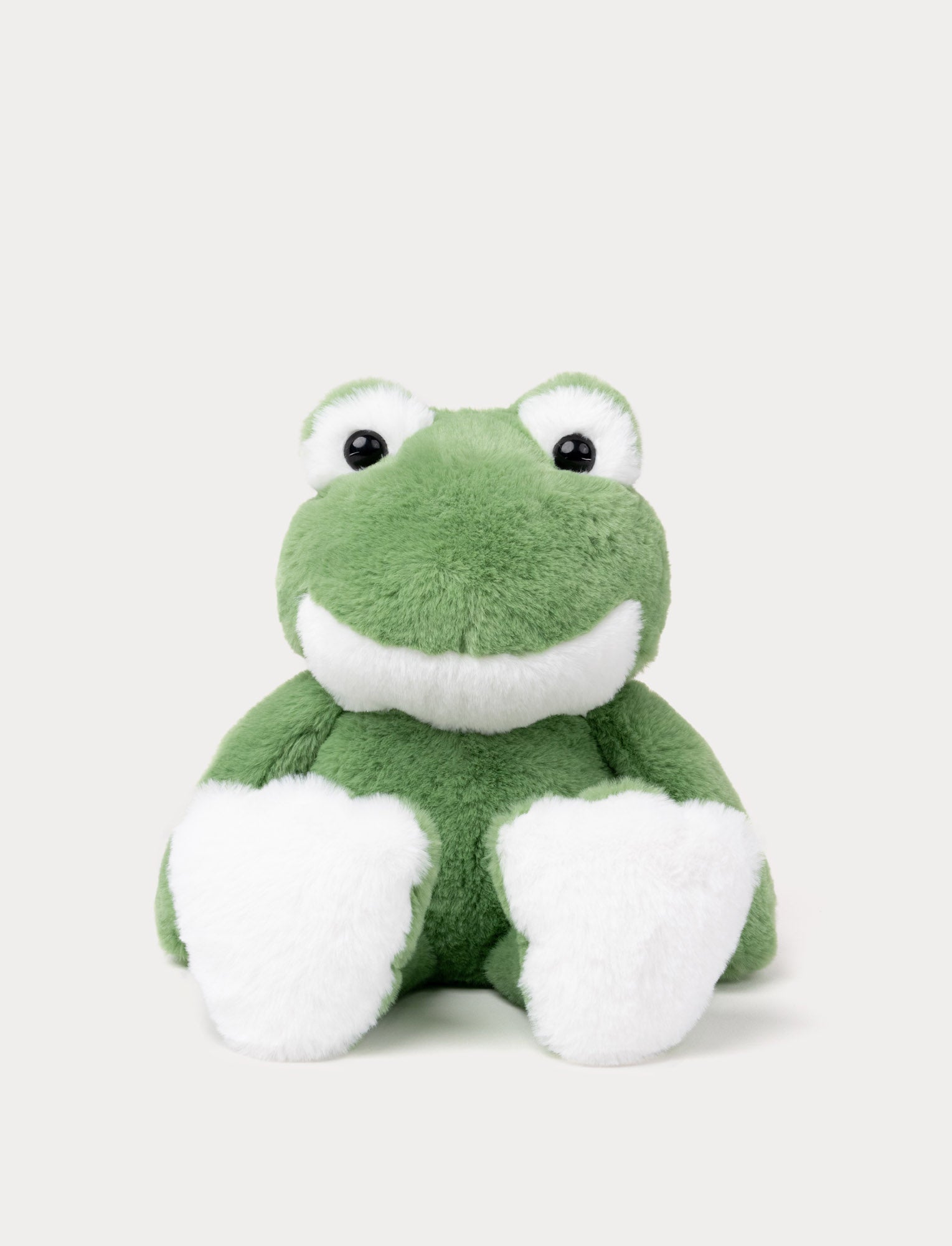  Image of The Frog Göran