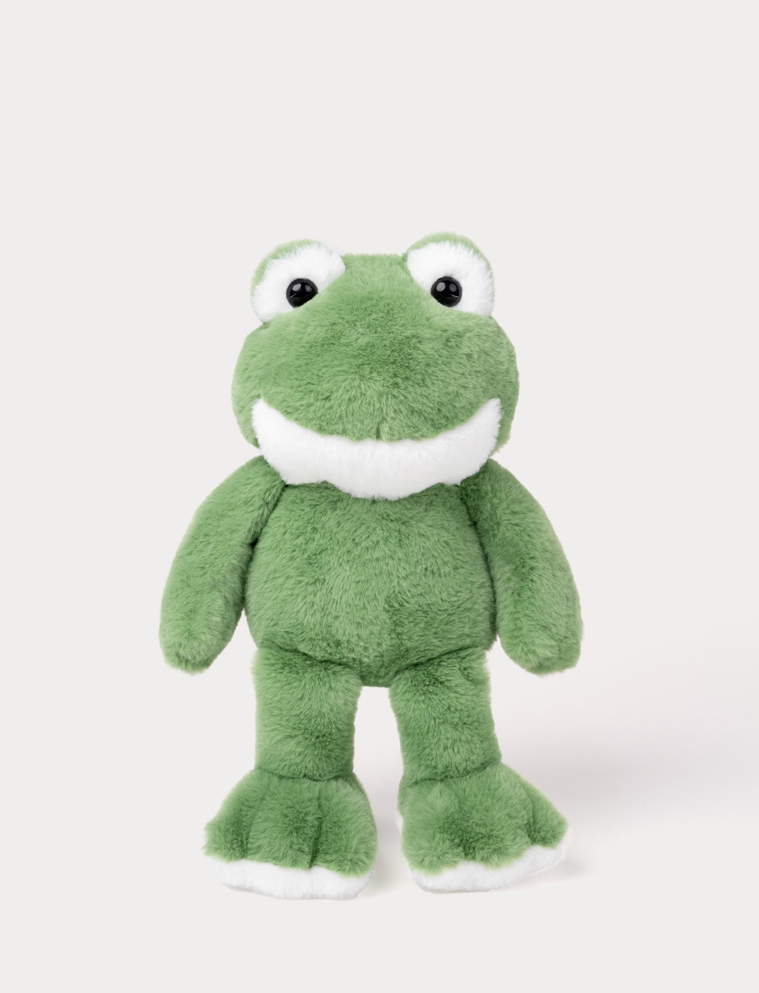  Image of The Frog Göran