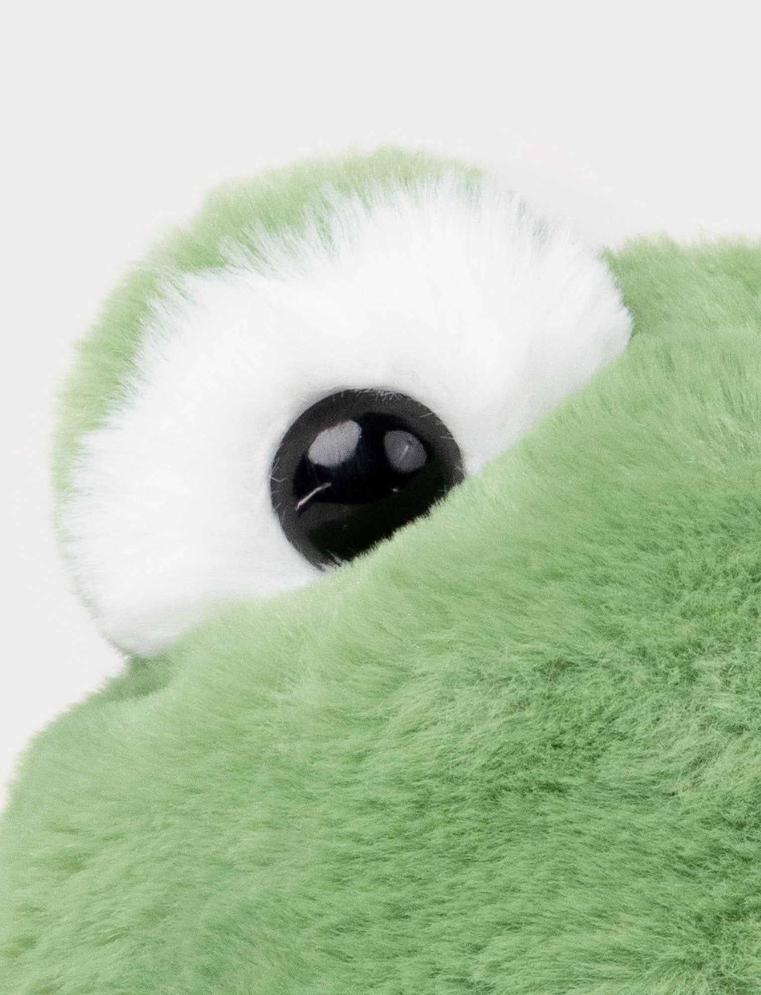  Image of The Frog Göran