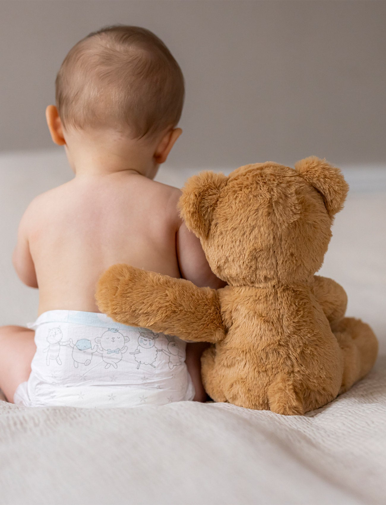 Hjalmar, Teddy Bear, Brown