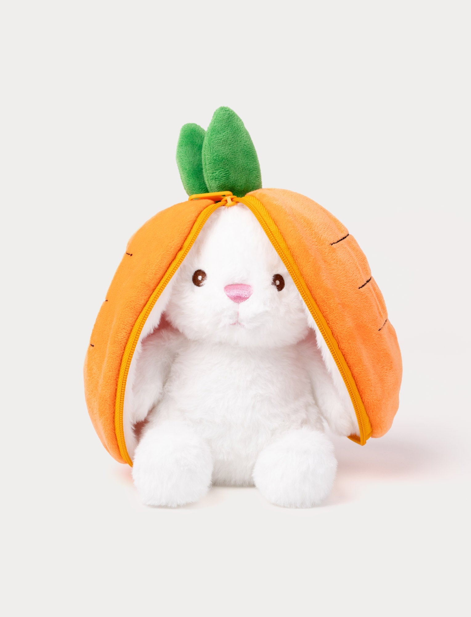  Image of Bunny in Carrot, Big