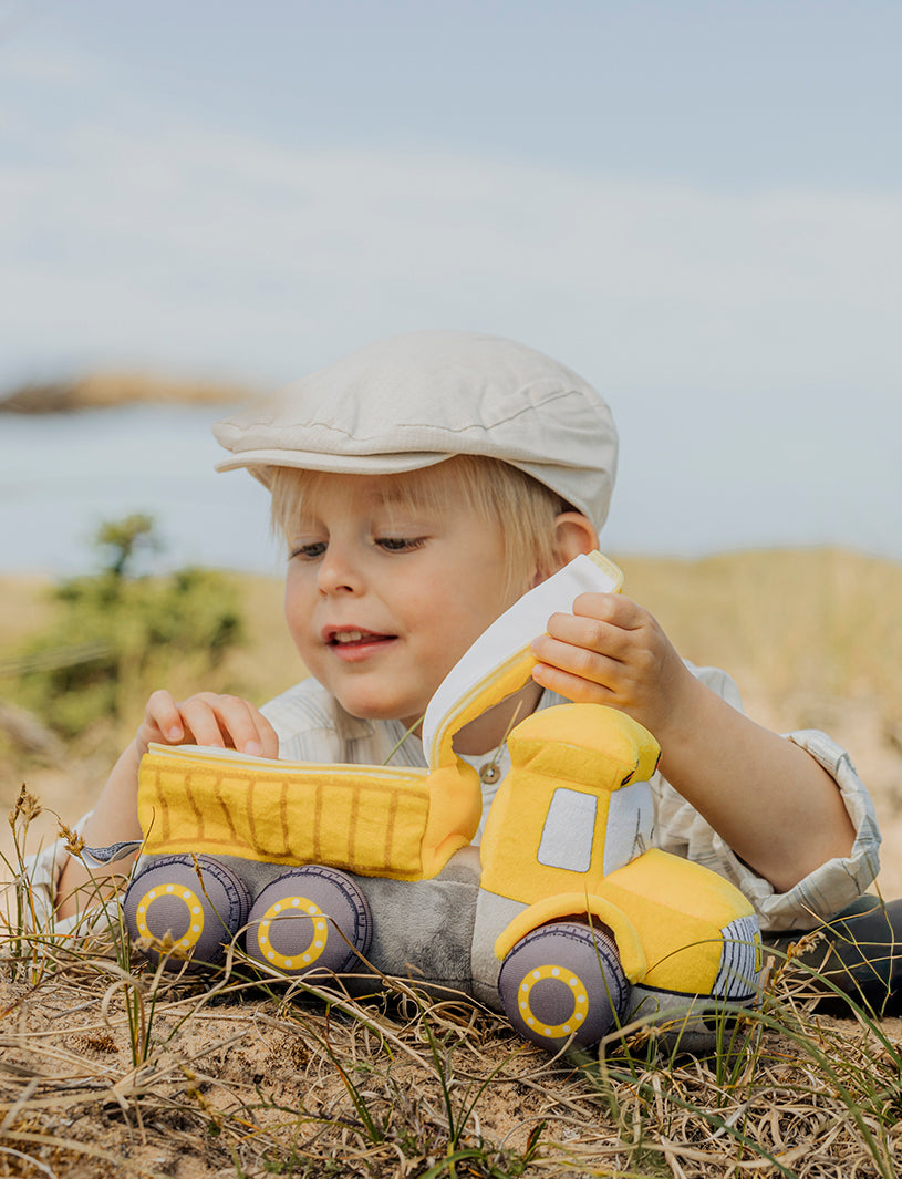  Image of Teddy Dumper