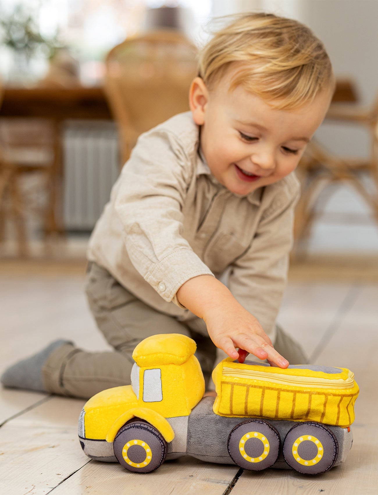  Image of Teddy Dumper