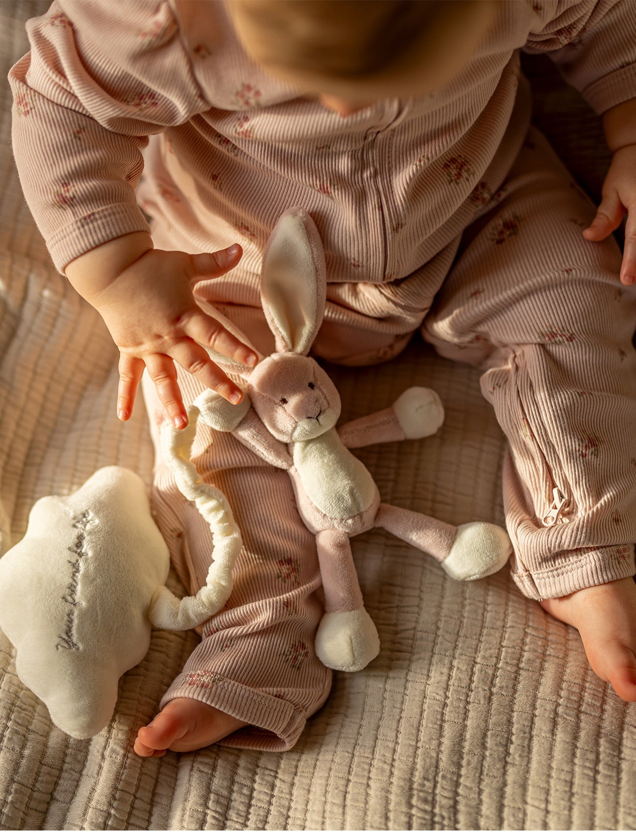  Image of Diinglisar, Music Box, Cloud, Pink