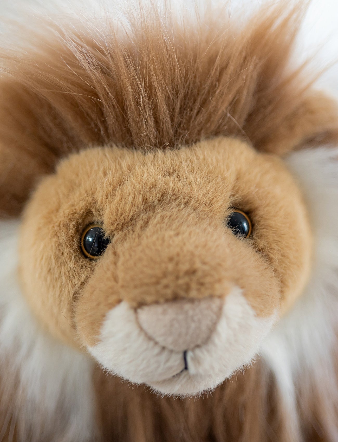  Image of Lifelike Lion