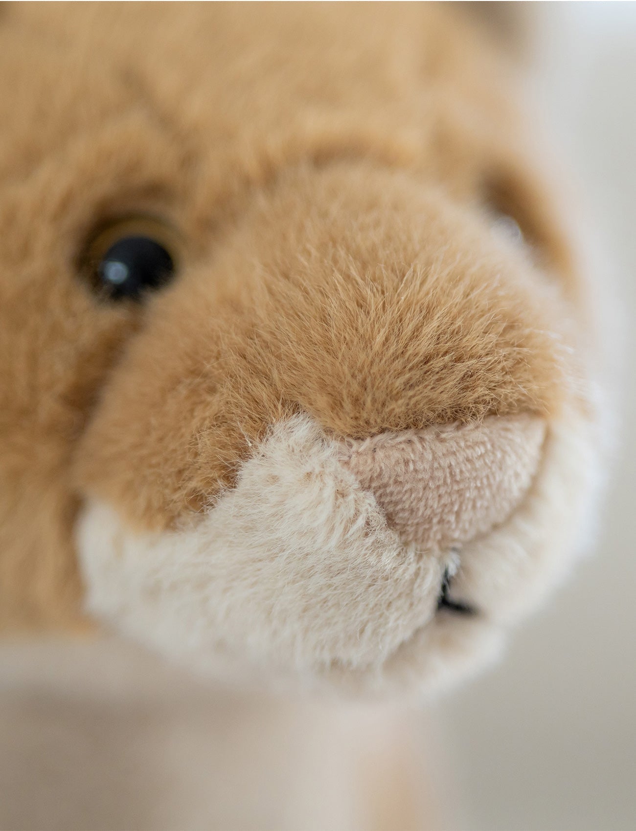  Image of Lifelike Lioness