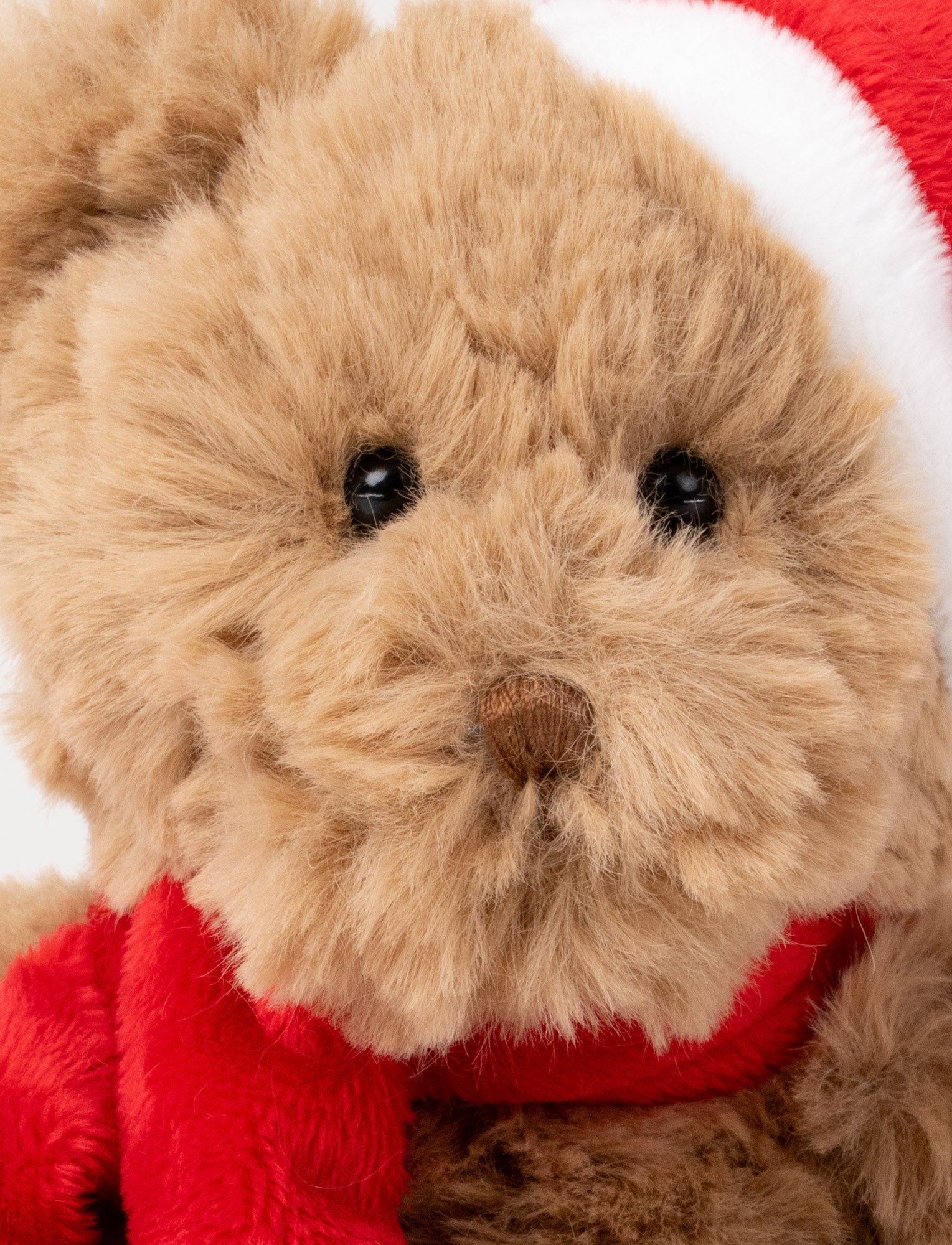  Image of Sture with Santa Hat, Teddy Bear