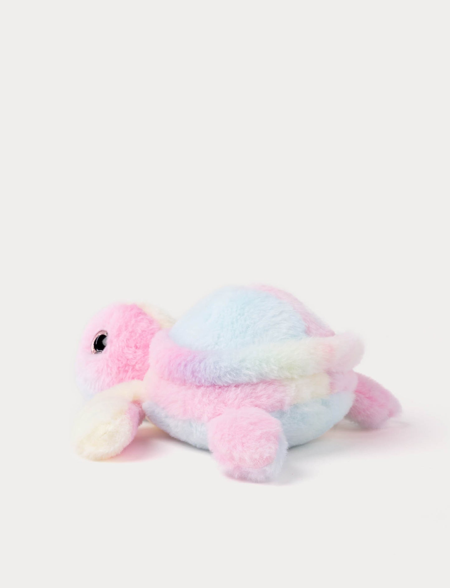 Turtle, rainbow coloured