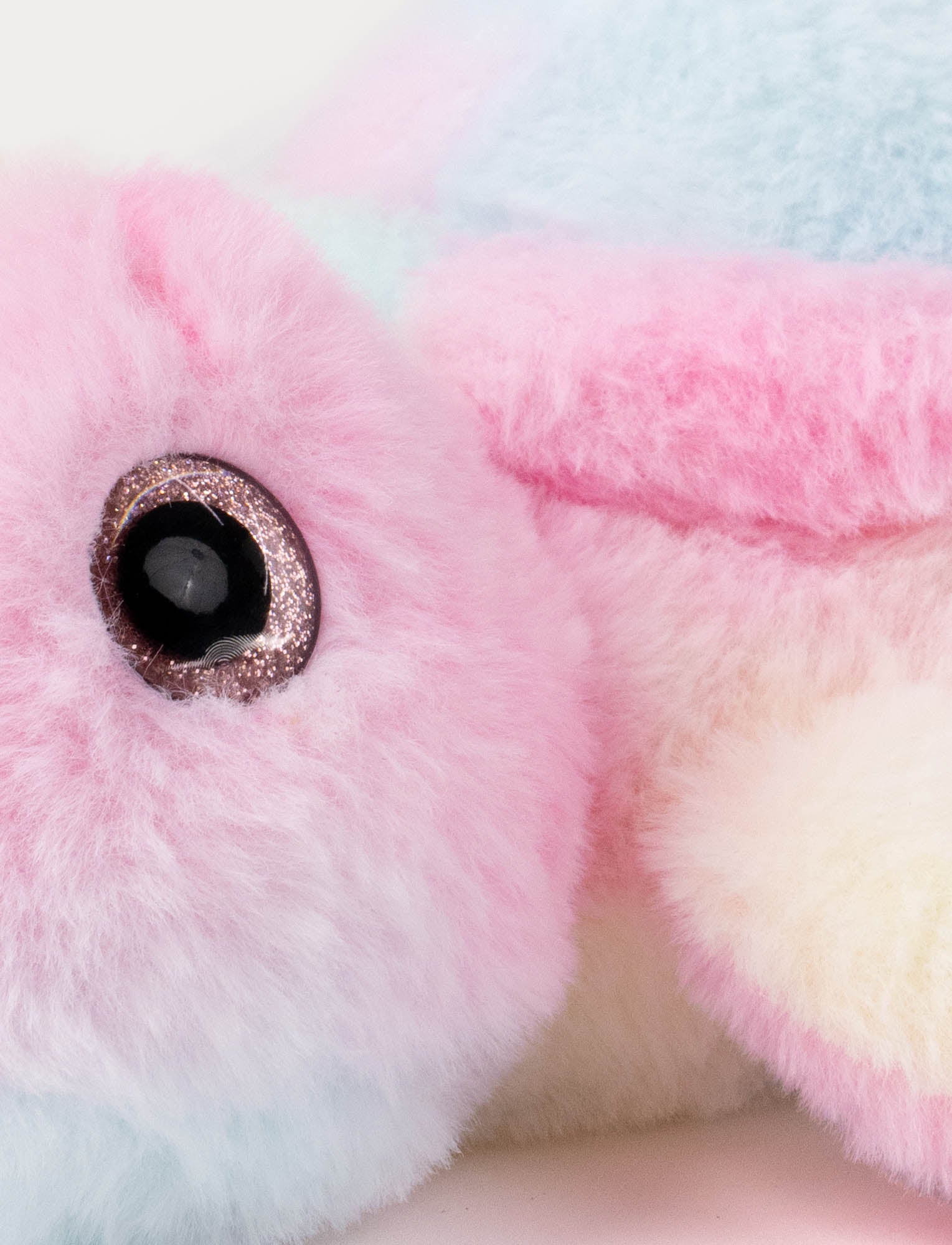  Image of Turtle, rainbow coloured