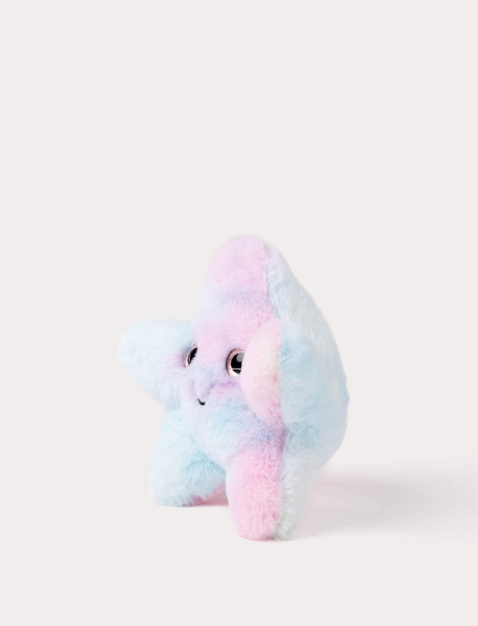  Image of Starfish, rainbow coloured