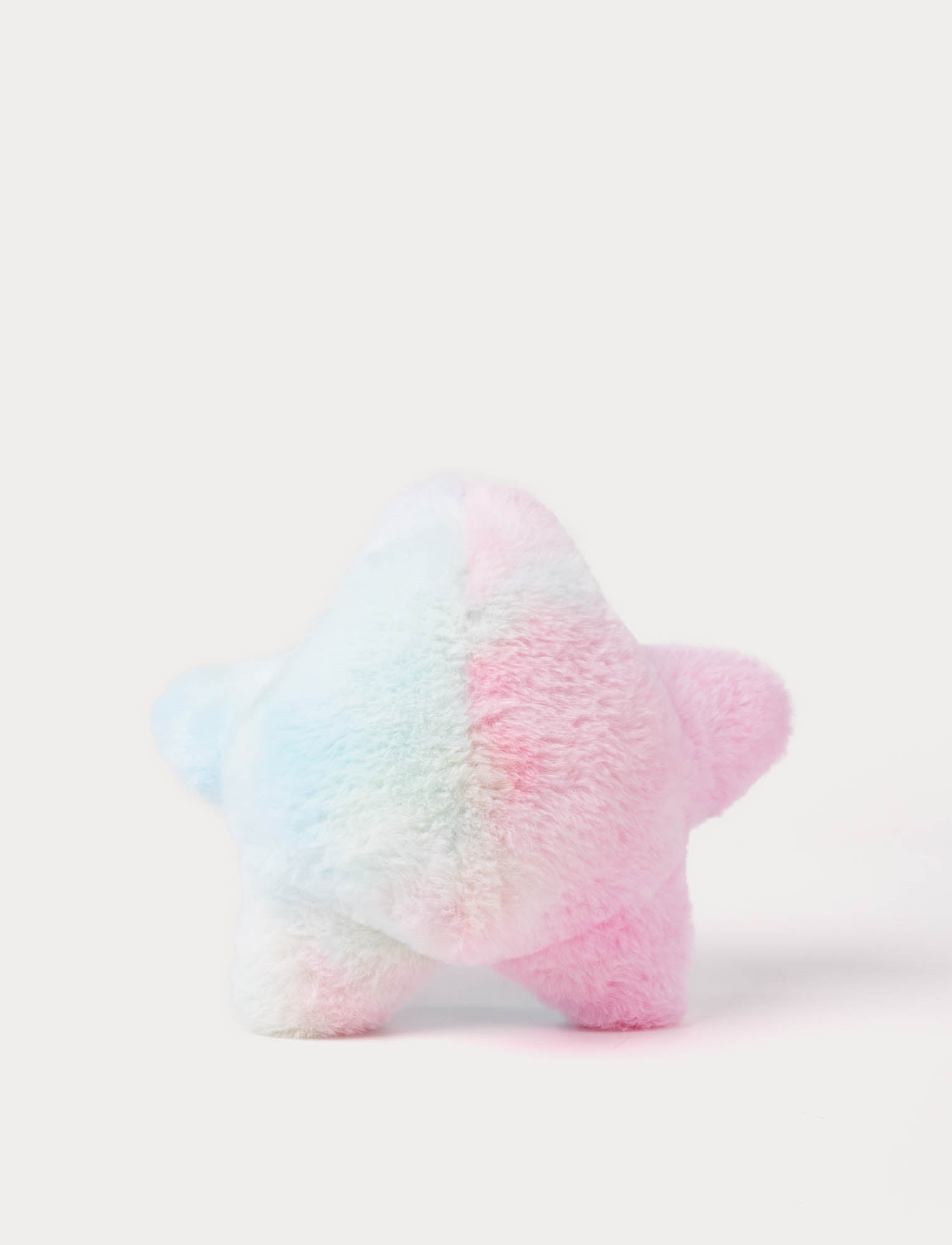  Image of Starfish, rainbow coloured