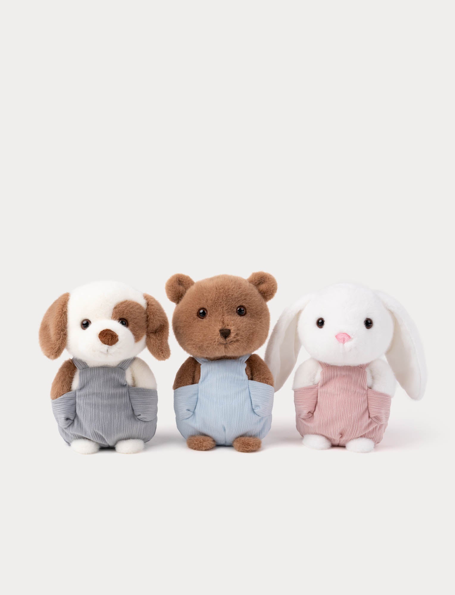  Image of Dog w. dungarees