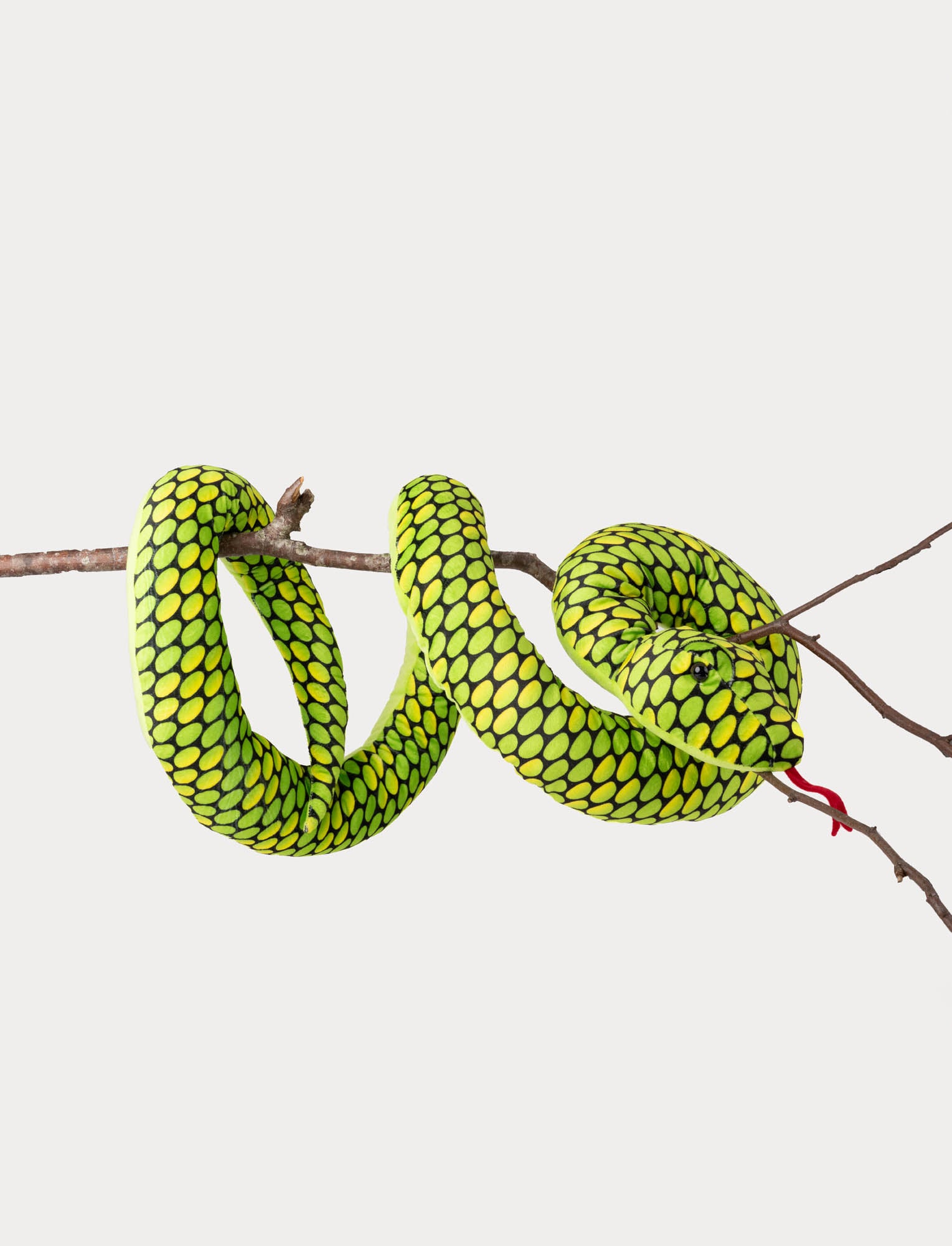  Image of Snake, green XL