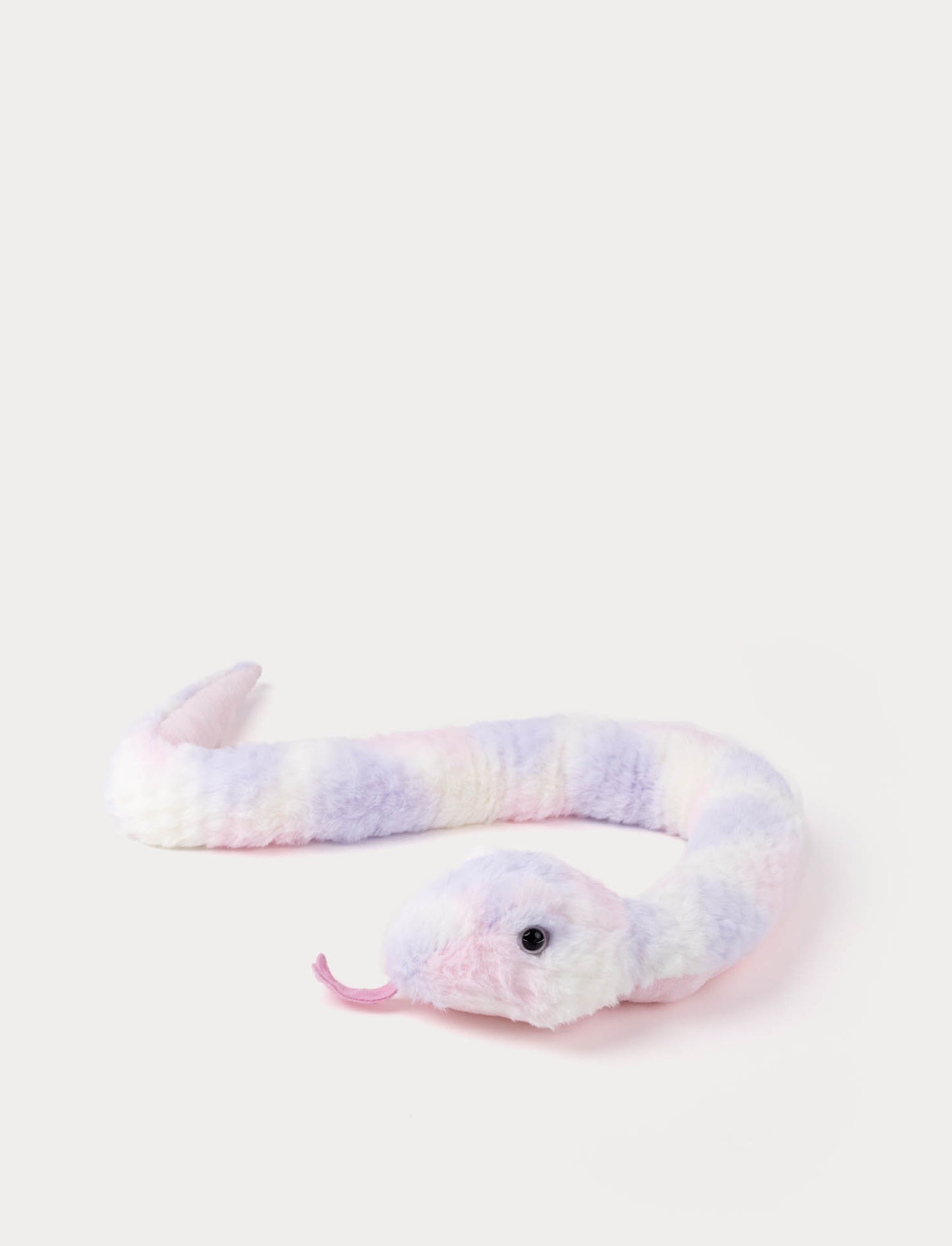 Snake, rainbow coloured