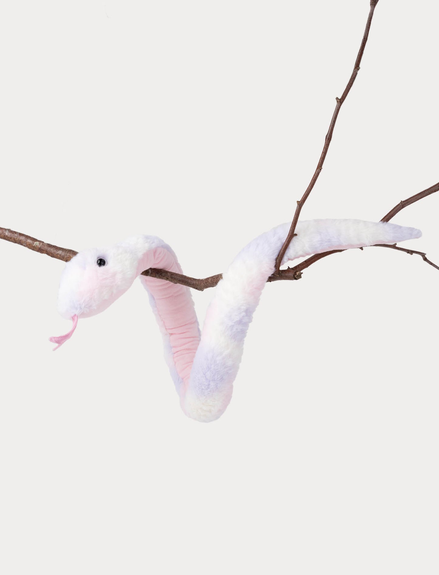 Snake, rainbow coloured