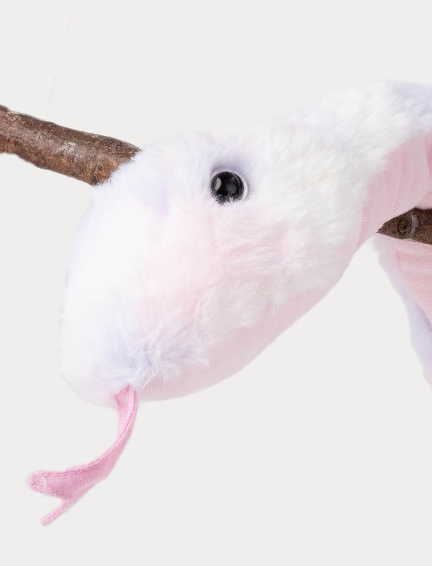 Snake, rainbow coloured