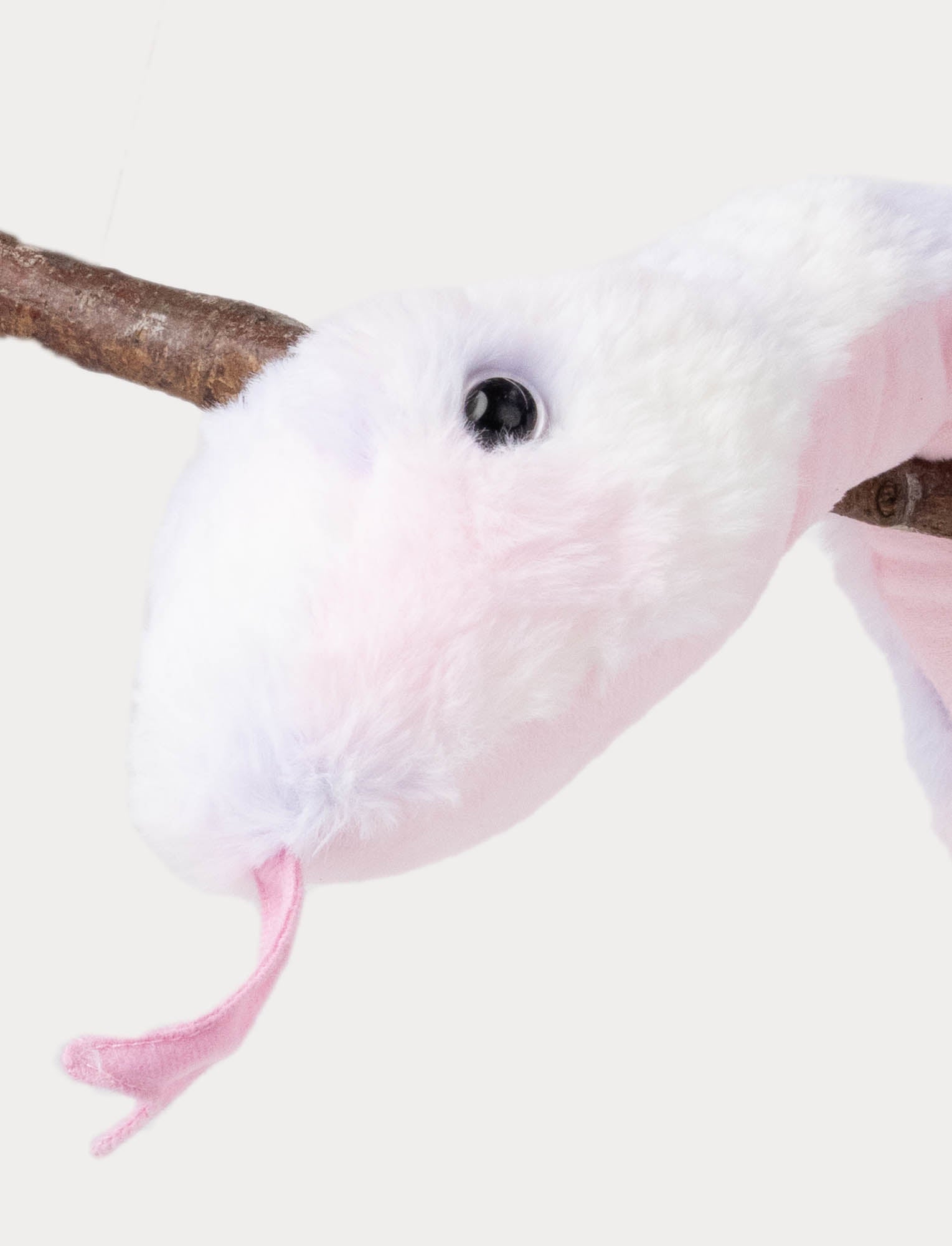  Image of Snake, rainbow coloured