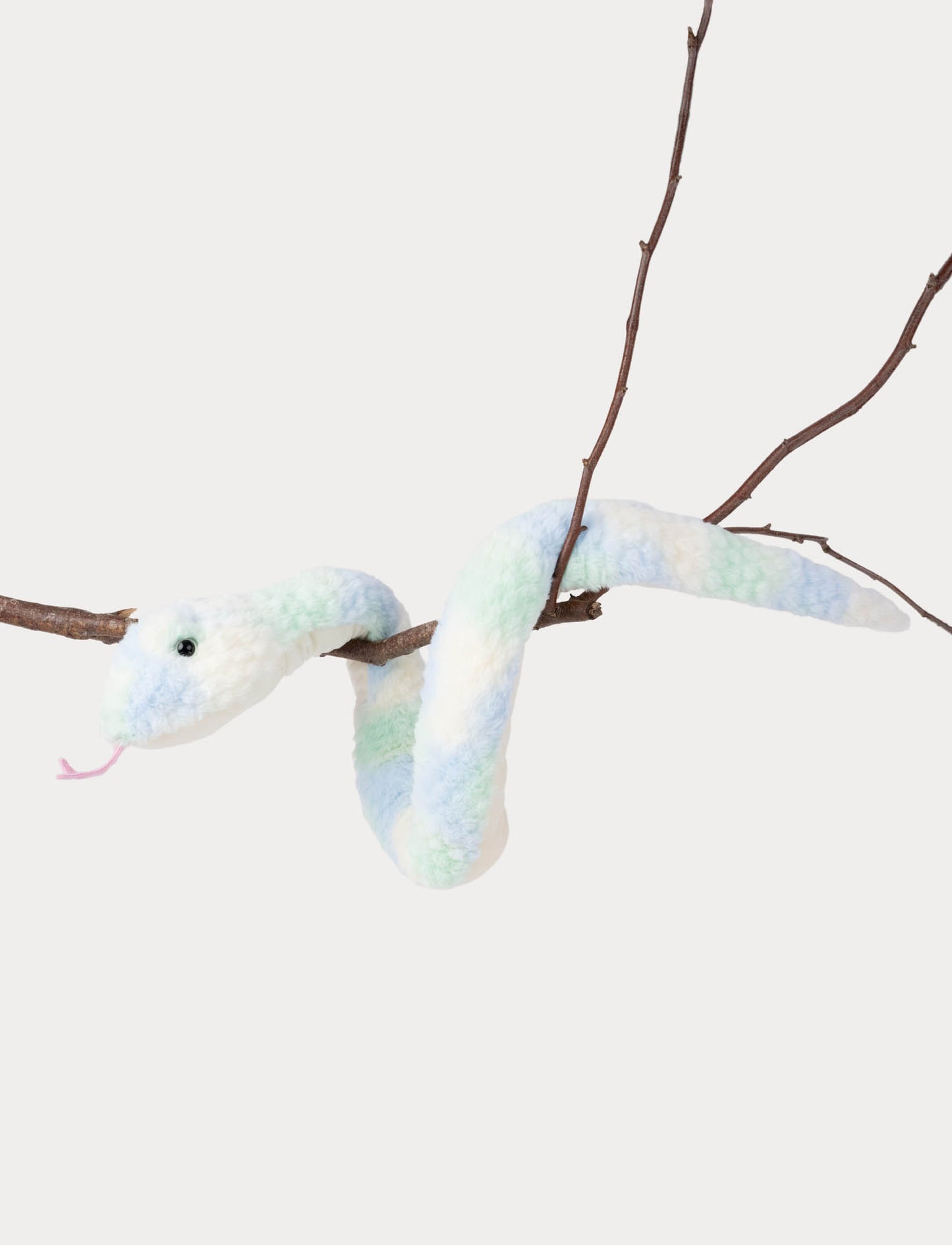 Orm, Regnbågsfärgad