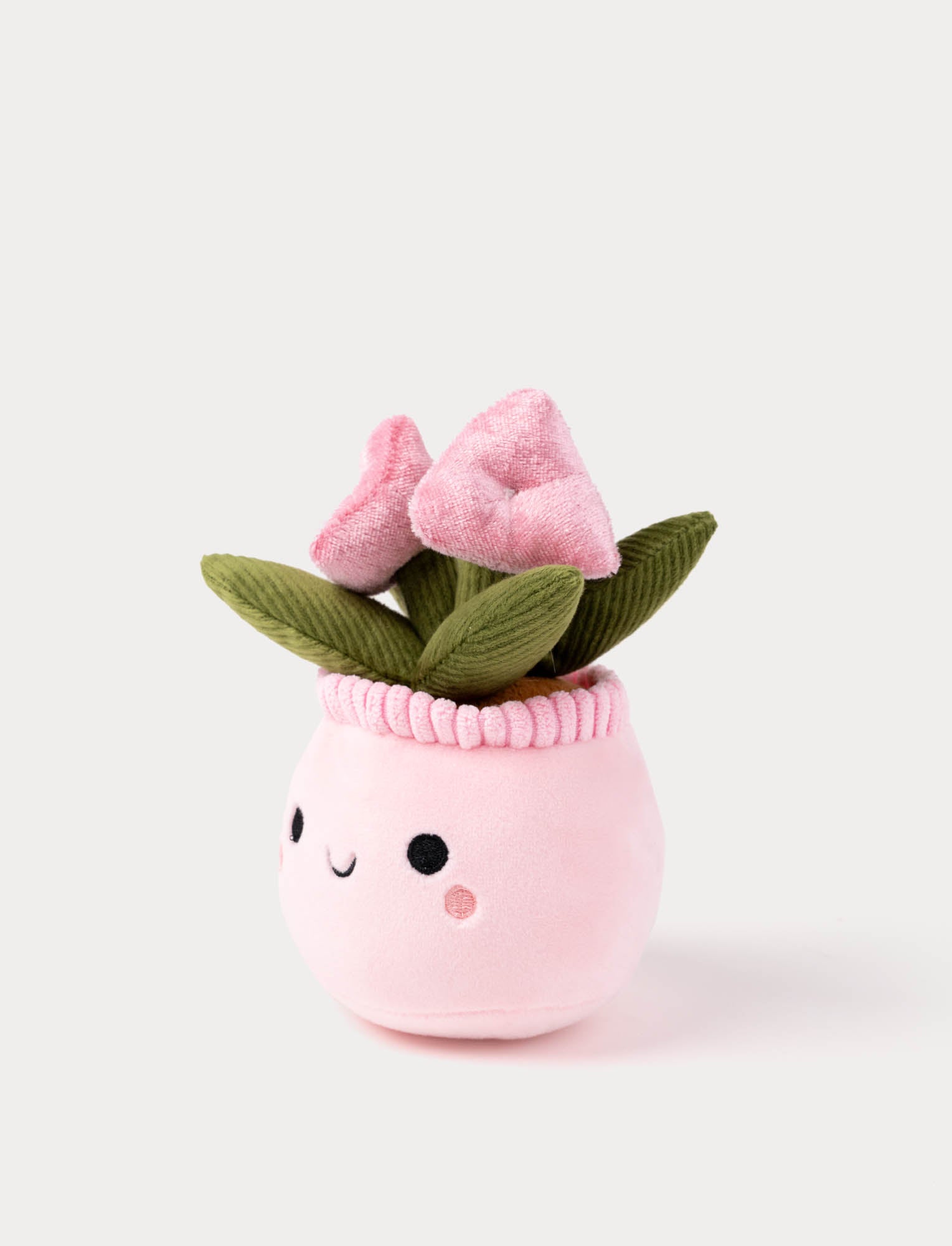  Image of Teddy Flowers, Gift Flower, 3 diff.