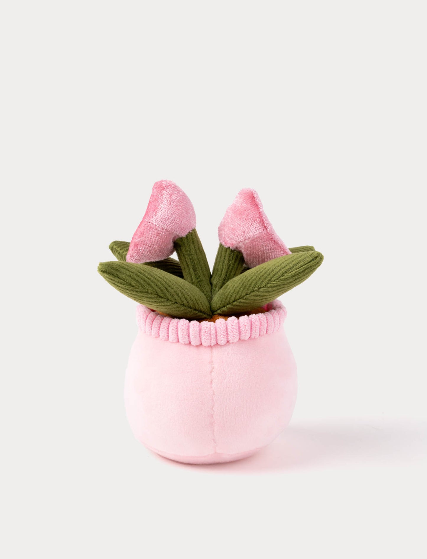 Teddy Flowers, Gift Flower, 3 diff.