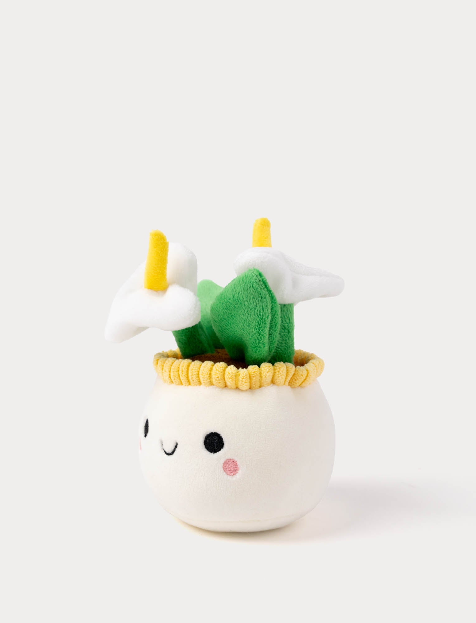  Image of Teddy Flowers, Gift Flower, 3 diff.