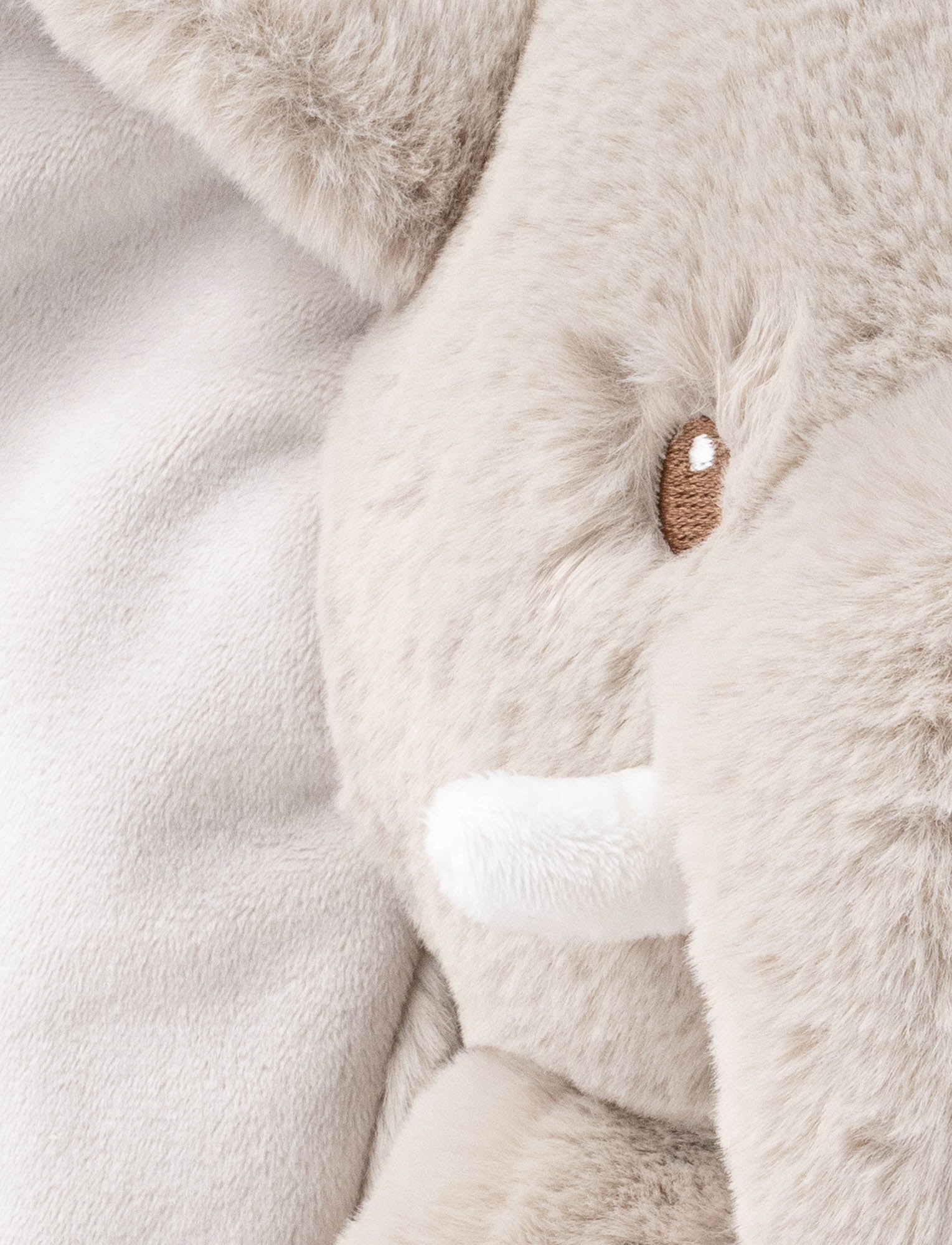  Image of Sebbe, Elephant