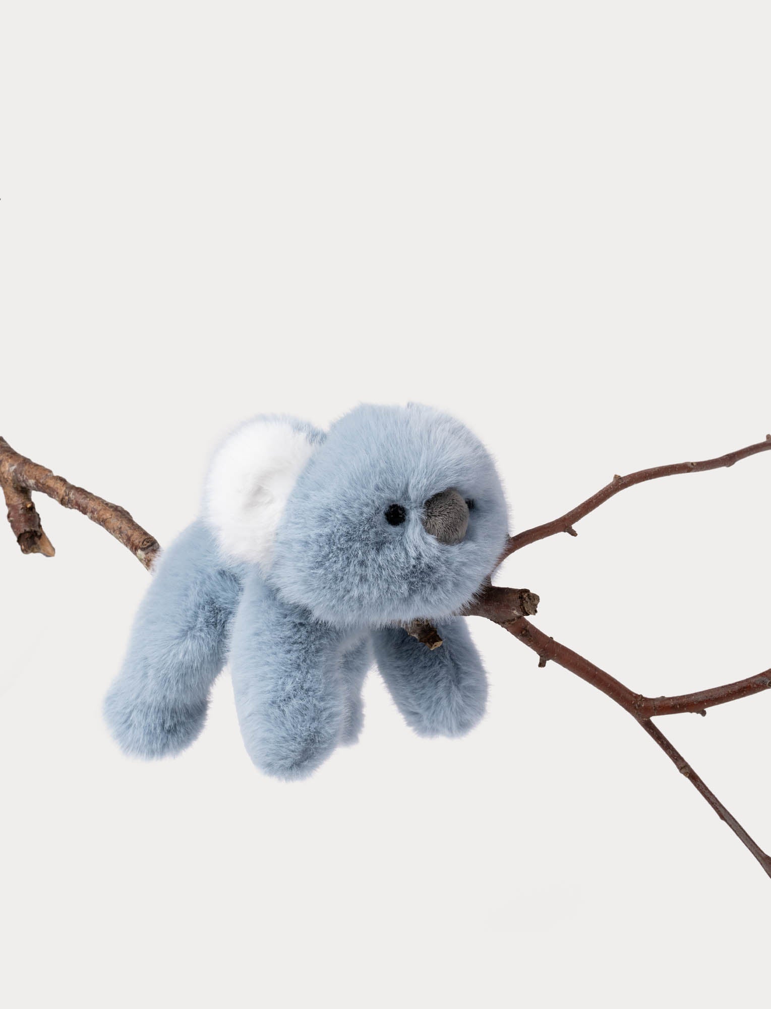  Image of Soft Squad, Koala