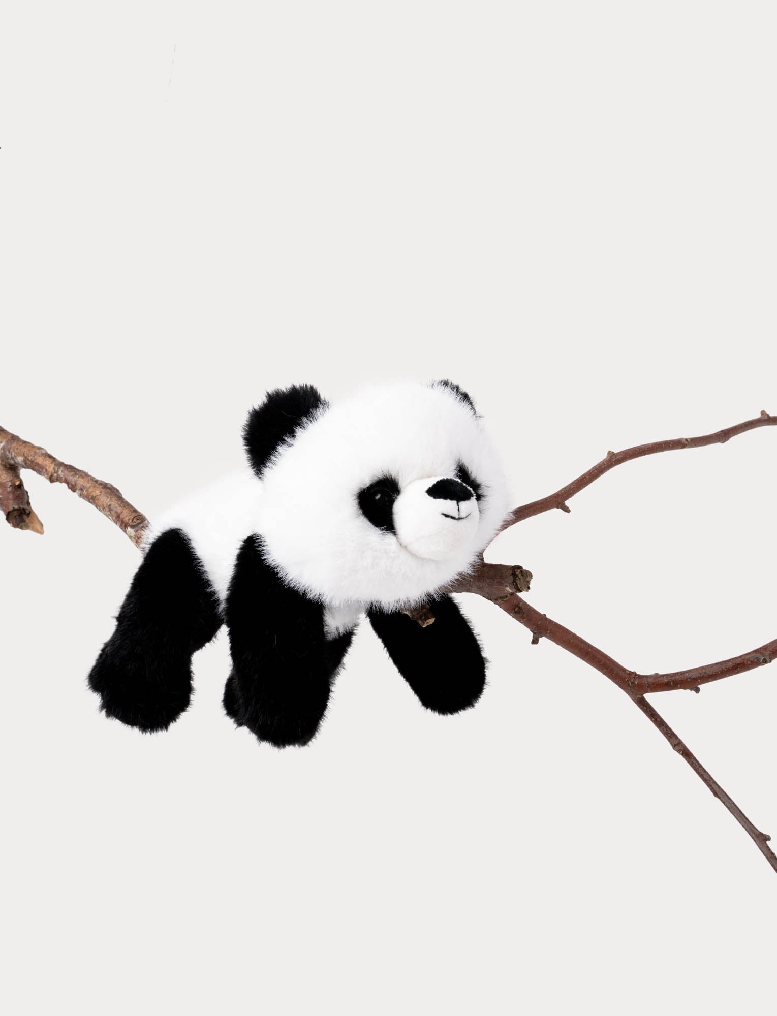  Image of Soft Squad, Panda